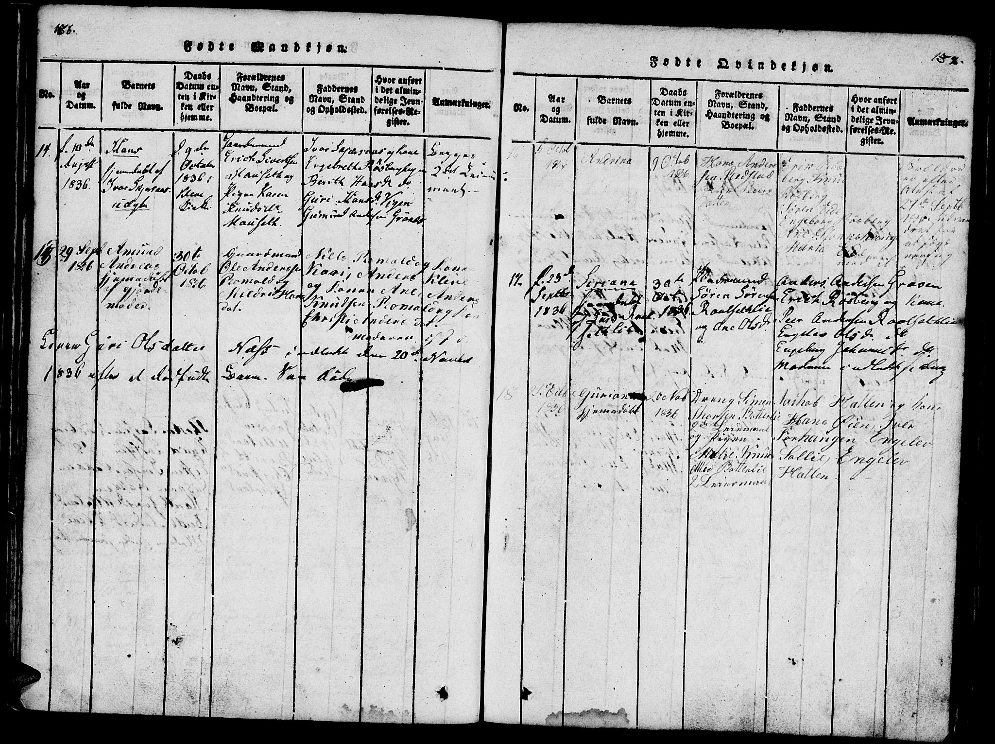 Ministerialprotokoller, klokkerbøker og fødselsregistre - Møre og Romsdal, AV/SAT-A-1454/557/L0679: Parish register (official) no. 557A01, 1818-1843, p. 136-137