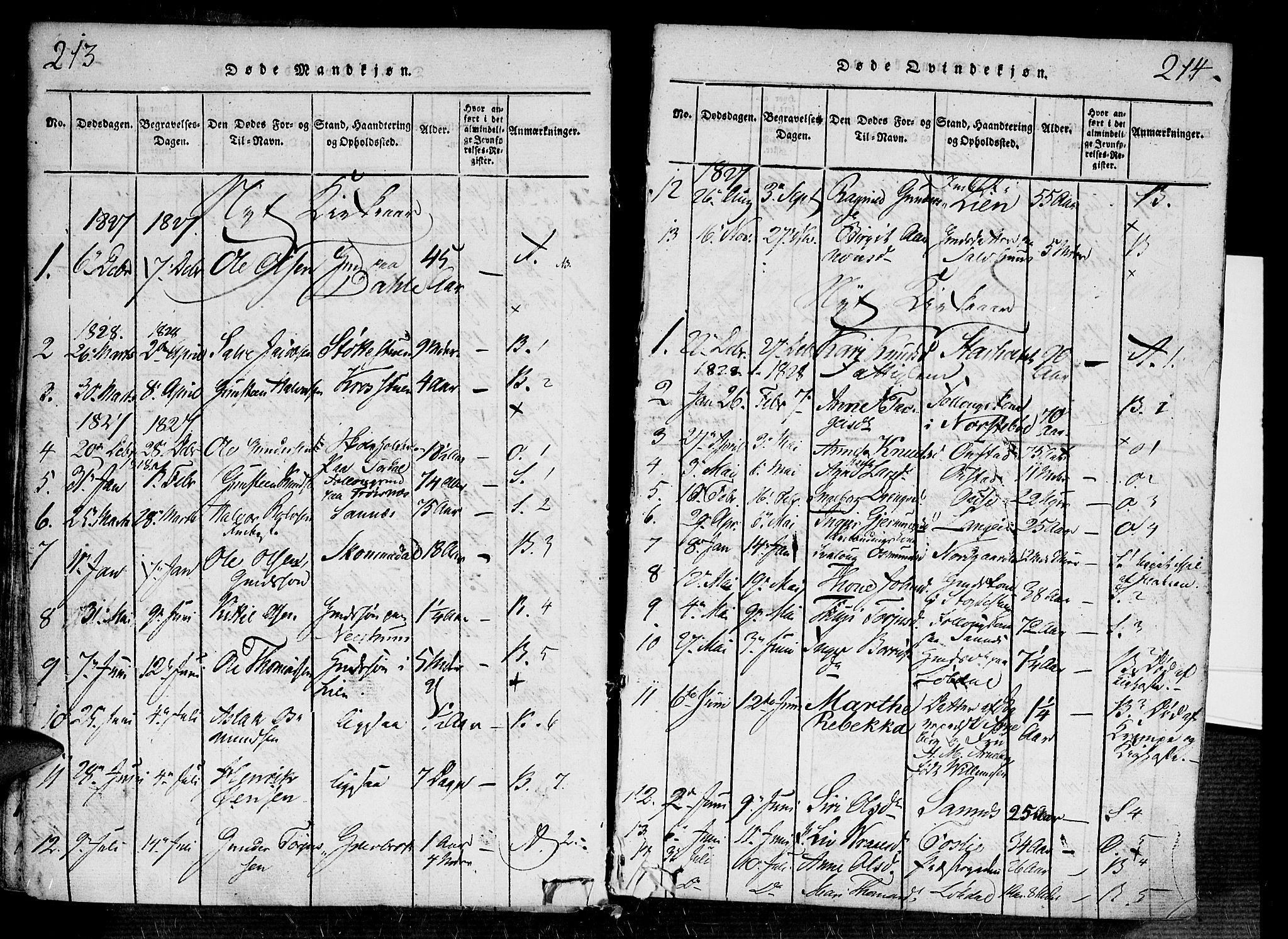 Bygland sokneprestkontor, SAK/1111-0006/F/Fa/Fab/L0003: Parish register (official) no. A 3, 1816-1841, p. 213-214