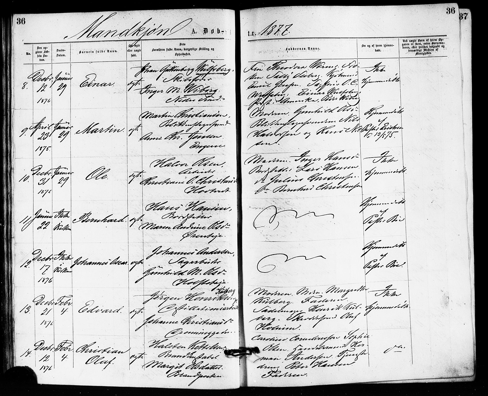 Bragernes kirkebøker, AV/SAKO-A-6/F/Fb/L0005: Parish register (official) no. II 5, 1875-1877, p. 36