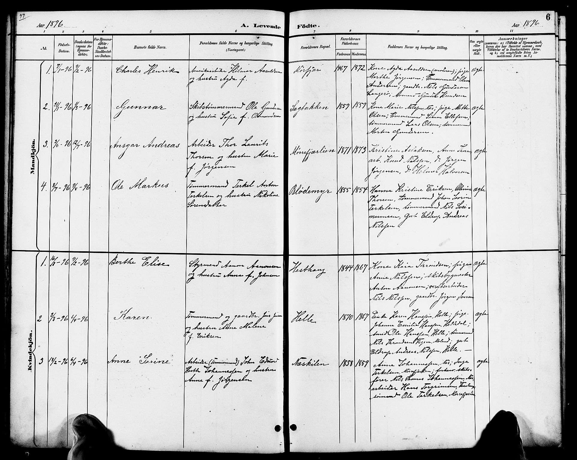Austre Moland sokneprestkontor, SAK/1111-0001/F/Fb/Fbb/L0002: Parish register (copy) no. B 2, 1894-1918, p. 6