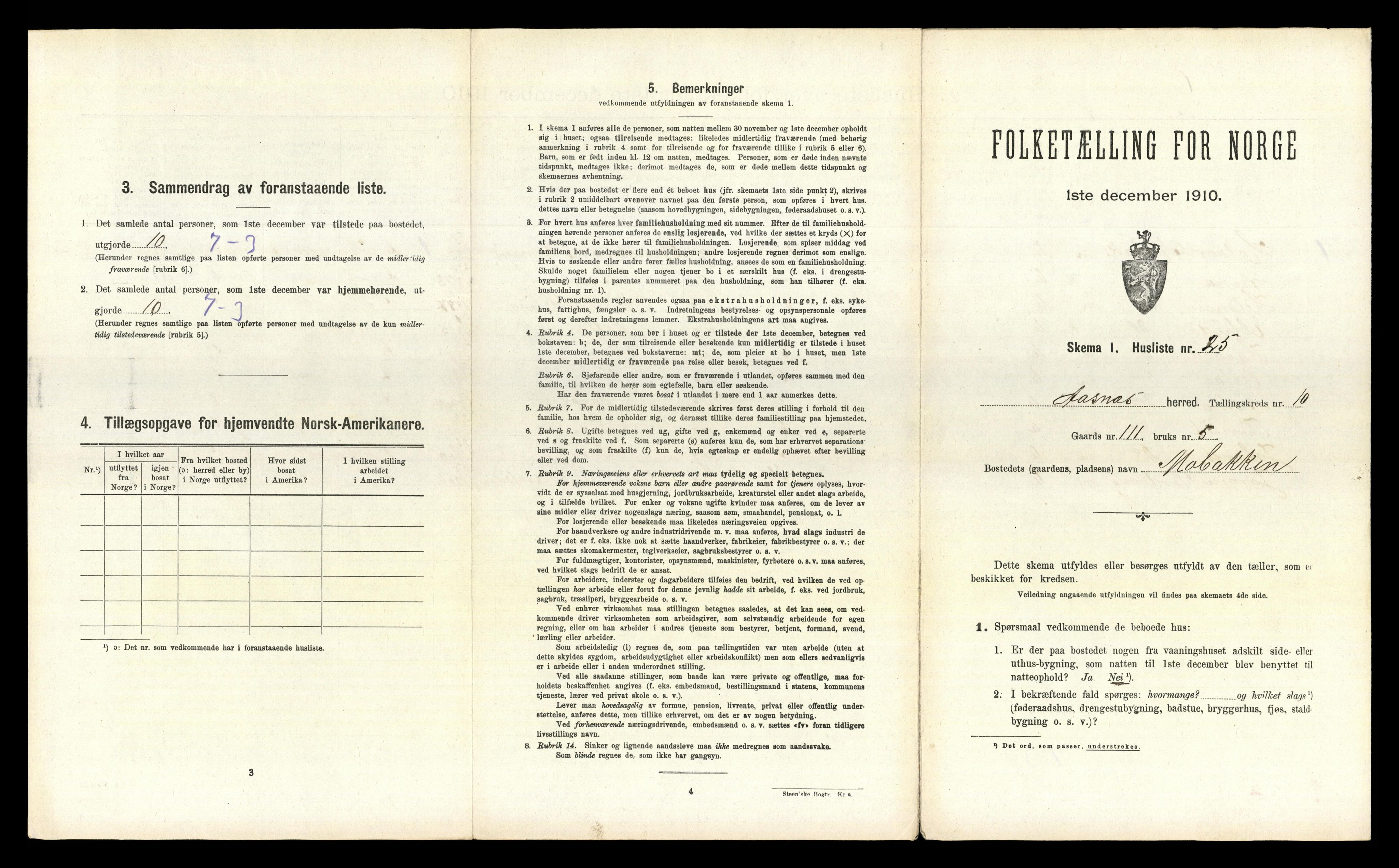 RA, 1910 census for Åsnes, 1910, p. 1560