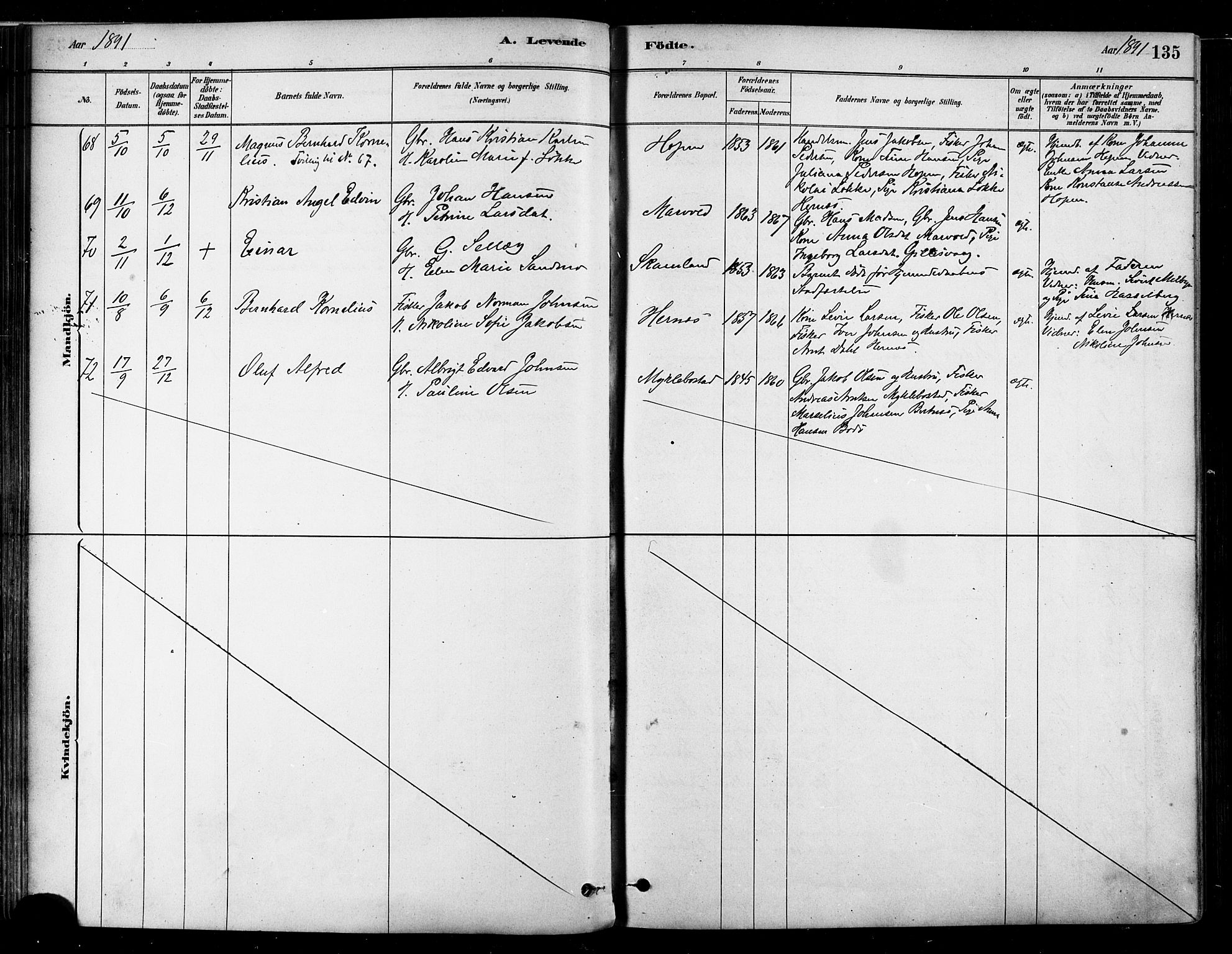 Ministerialprotokoller, klokkerbøker og fødselsregistre - Nordland, SAT/A-1459/802/L0054: Parish register (official) no. 802A01, 1879-1893, p. 135