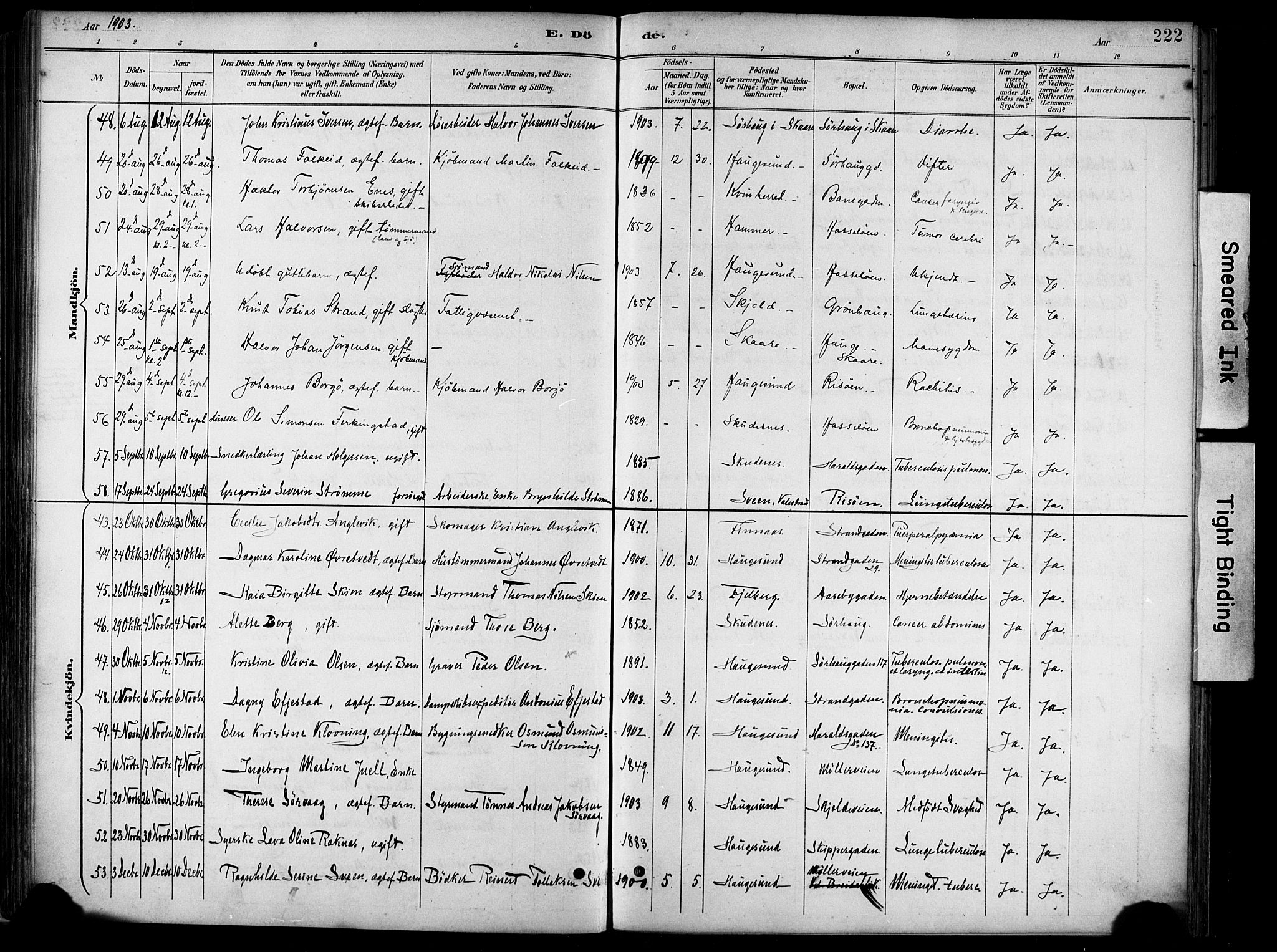 Haugesund sokneprestkontor, AV/SAST-A -101863/H/Ha/Haa/L0005: Parish register (official) no. A 5, 1891-1903, p. 222