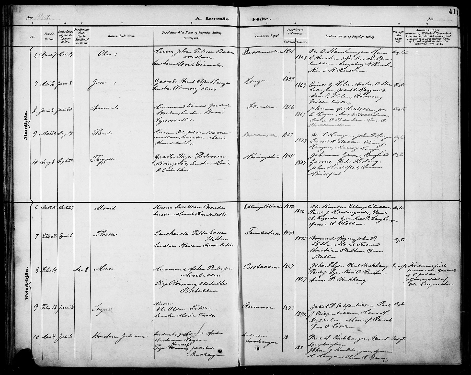 Sel prestekontor, SAH/PREST-074/H/Ha/Hab/L0005: Parish register (copy) no. 5, 1894-1923, p. 41