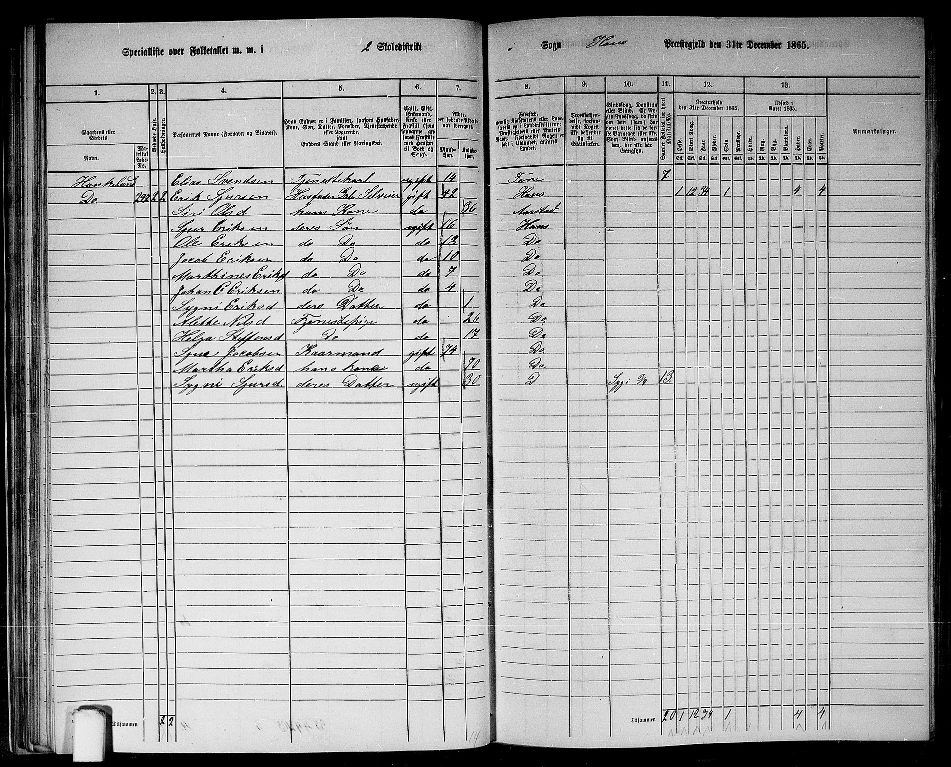 RA, 1865 census for Haus, 1865, p. 55