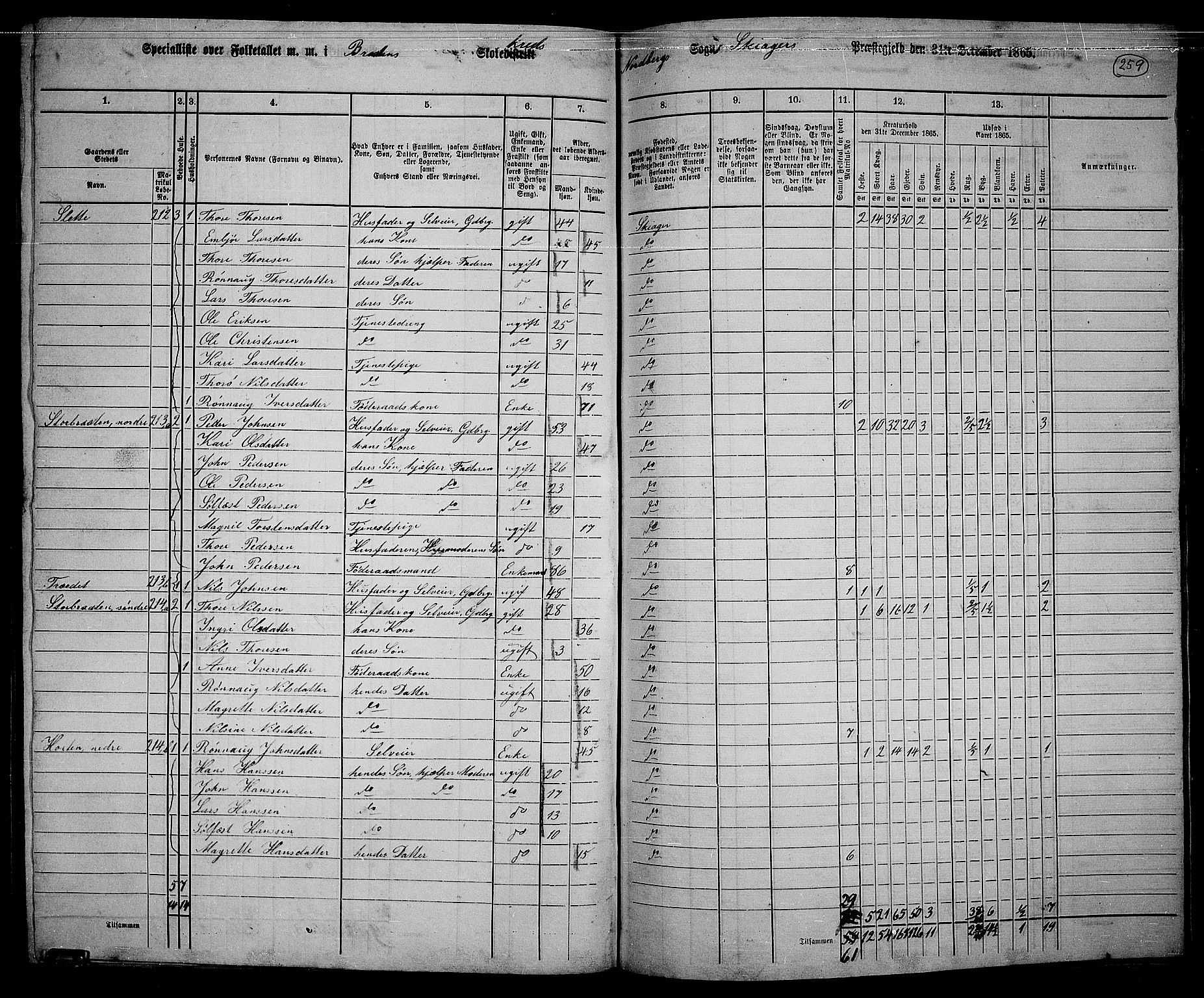 RA, 1865 census for Skjåk, 1865, p. 100