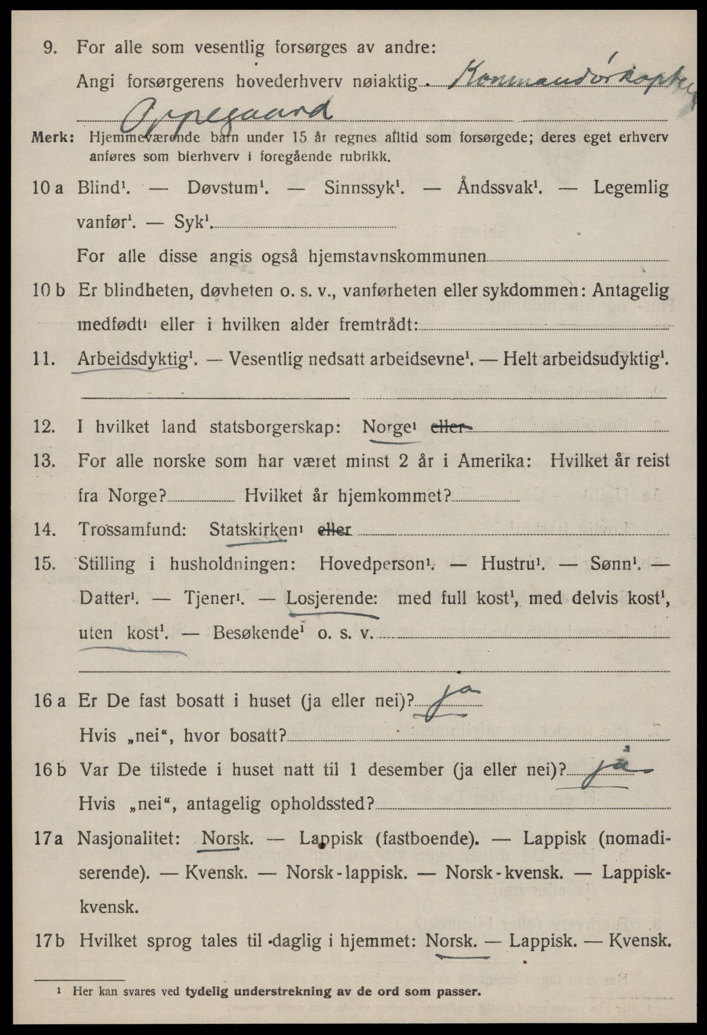 SAT, 1920 census for Strinda, 1920, p. 16901