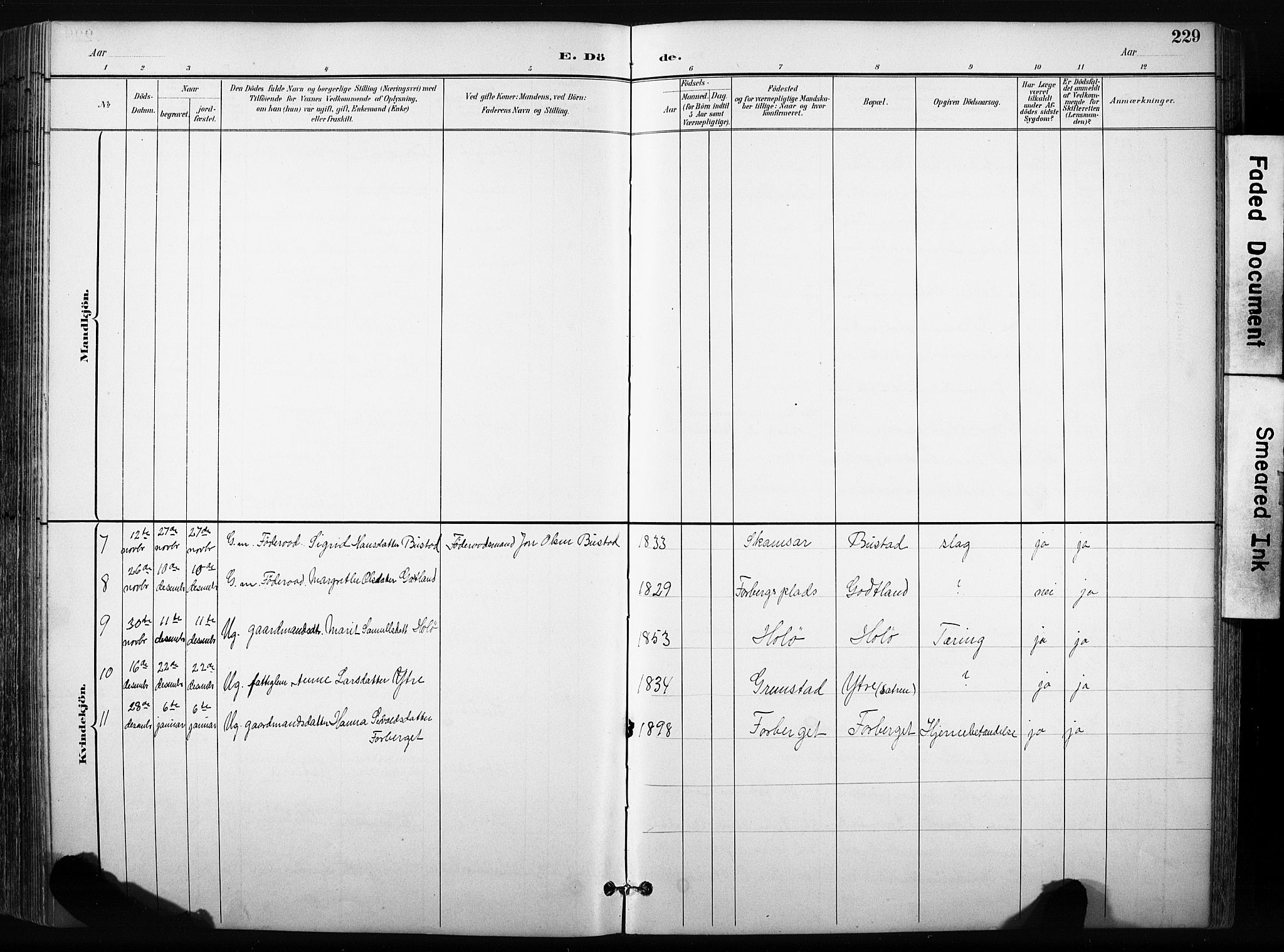 Skjåk prestekontor, SAH/PREST-072/H/Ha/Hab/L0003: Parish register (copy) no. 3, 1893-1932, p. 229
