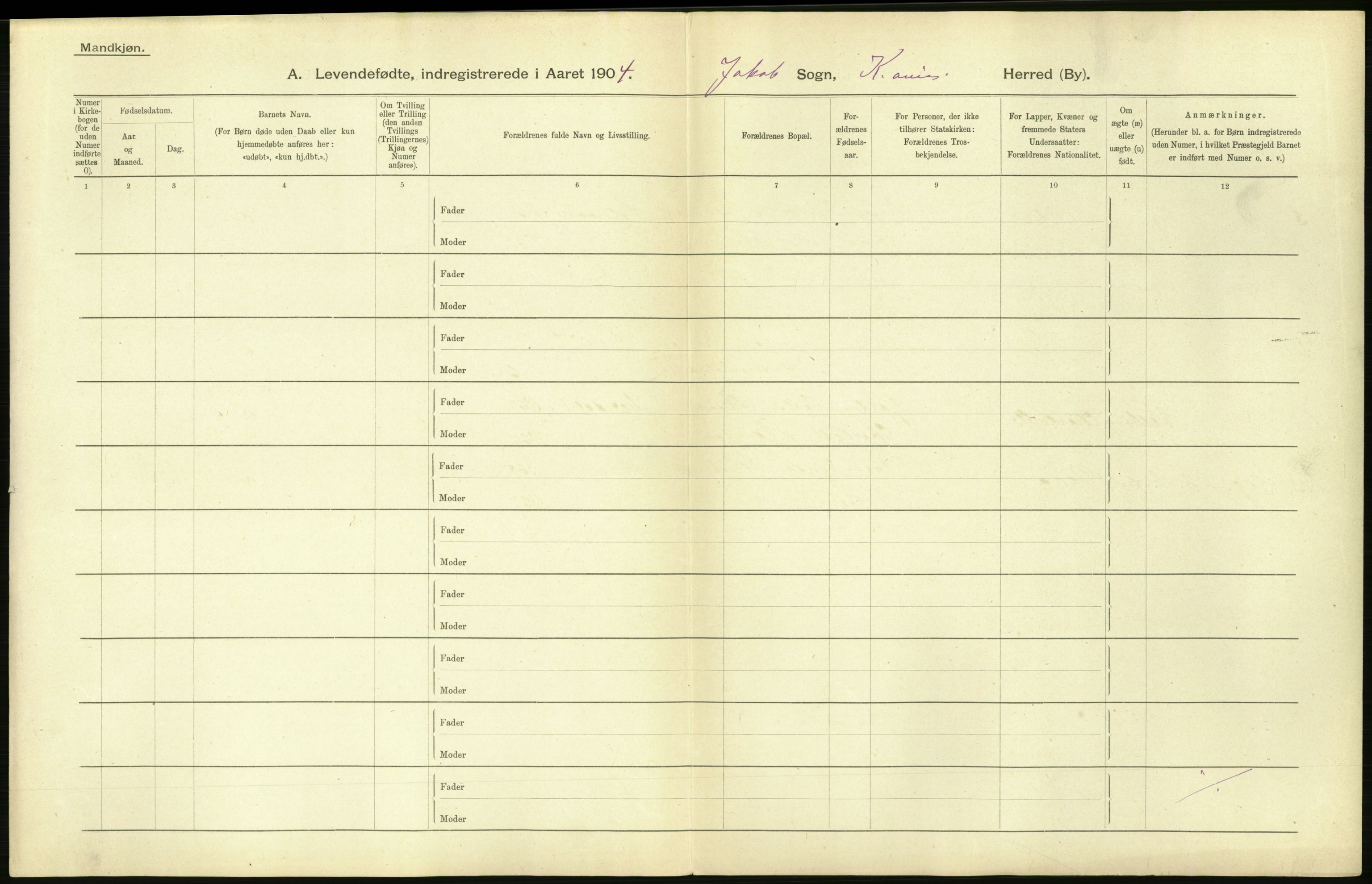 Statistisk sentralbyrå, Sosiodemografiske emner, Befolkning, AV/RA-S-2228/D/Df/Dfa/Dfab/L0003: Kristiania: Fødte, 1904, p. 6