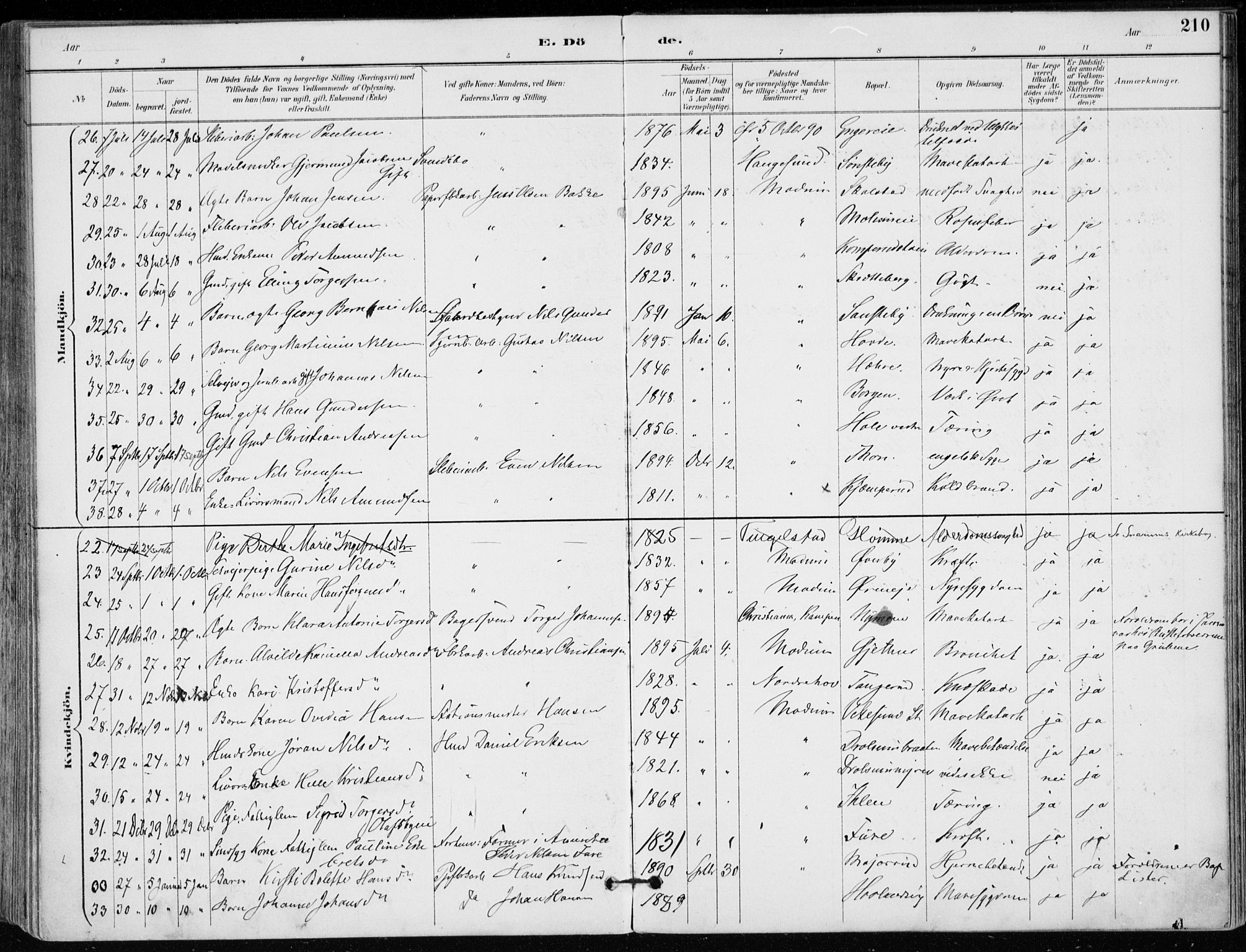 Modum kirkebøker, AV/SAKO-A-234/F/Fa/L0012: Parish register (official) no. 12, 1890-1898, p. 210