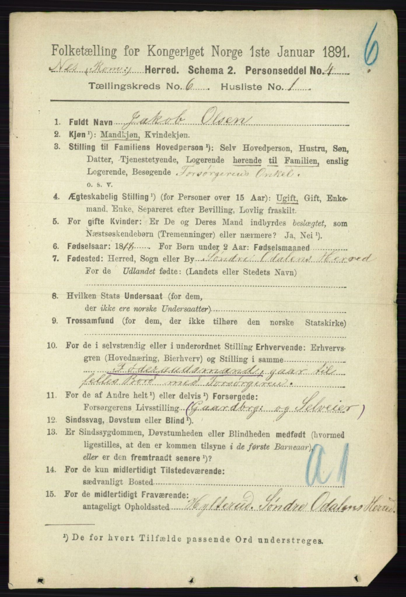 RA, 1891 census for 0236 Nes, 1891, p. 3397