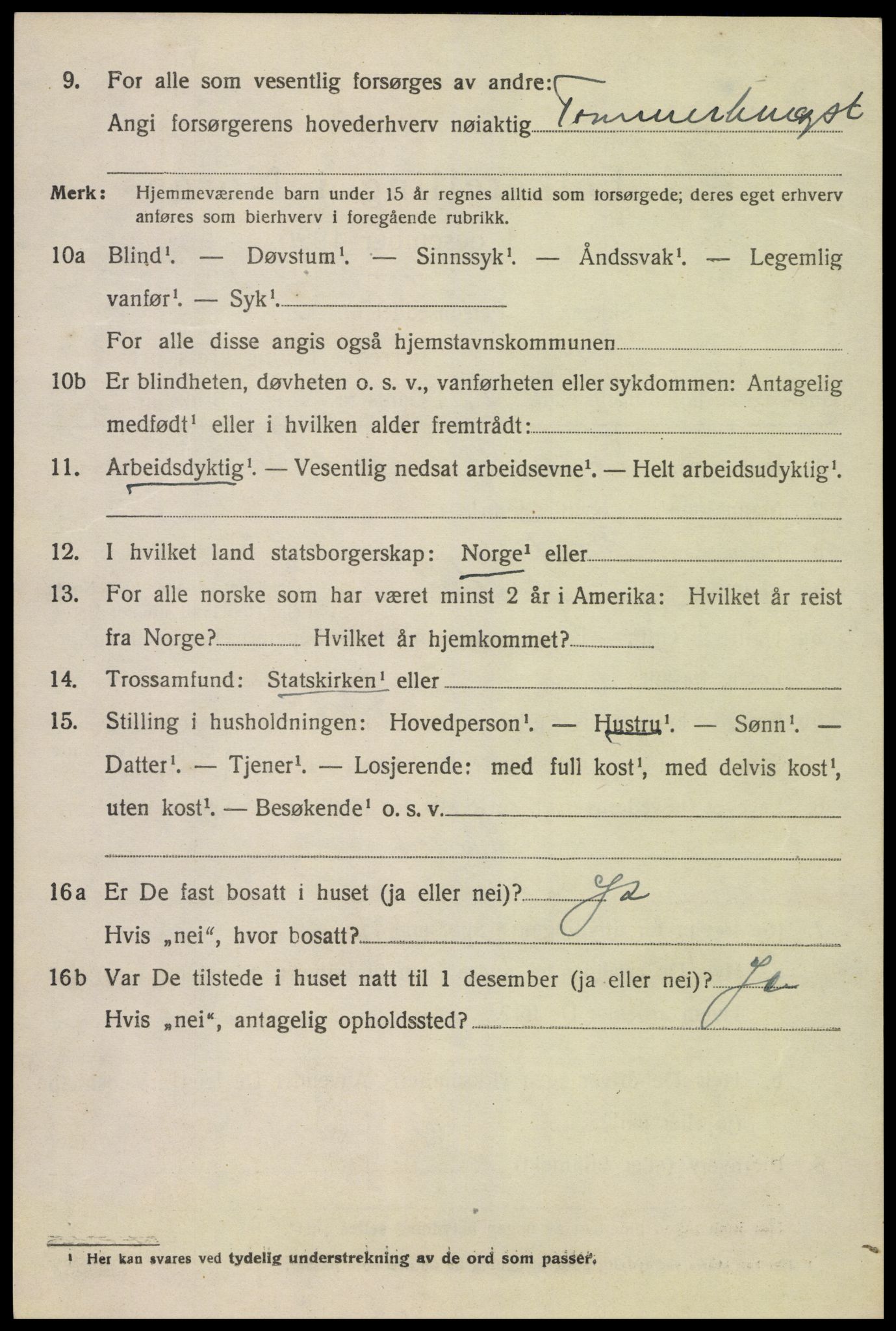 SAK, 1920 census for Åmli, 1920, p. 1852