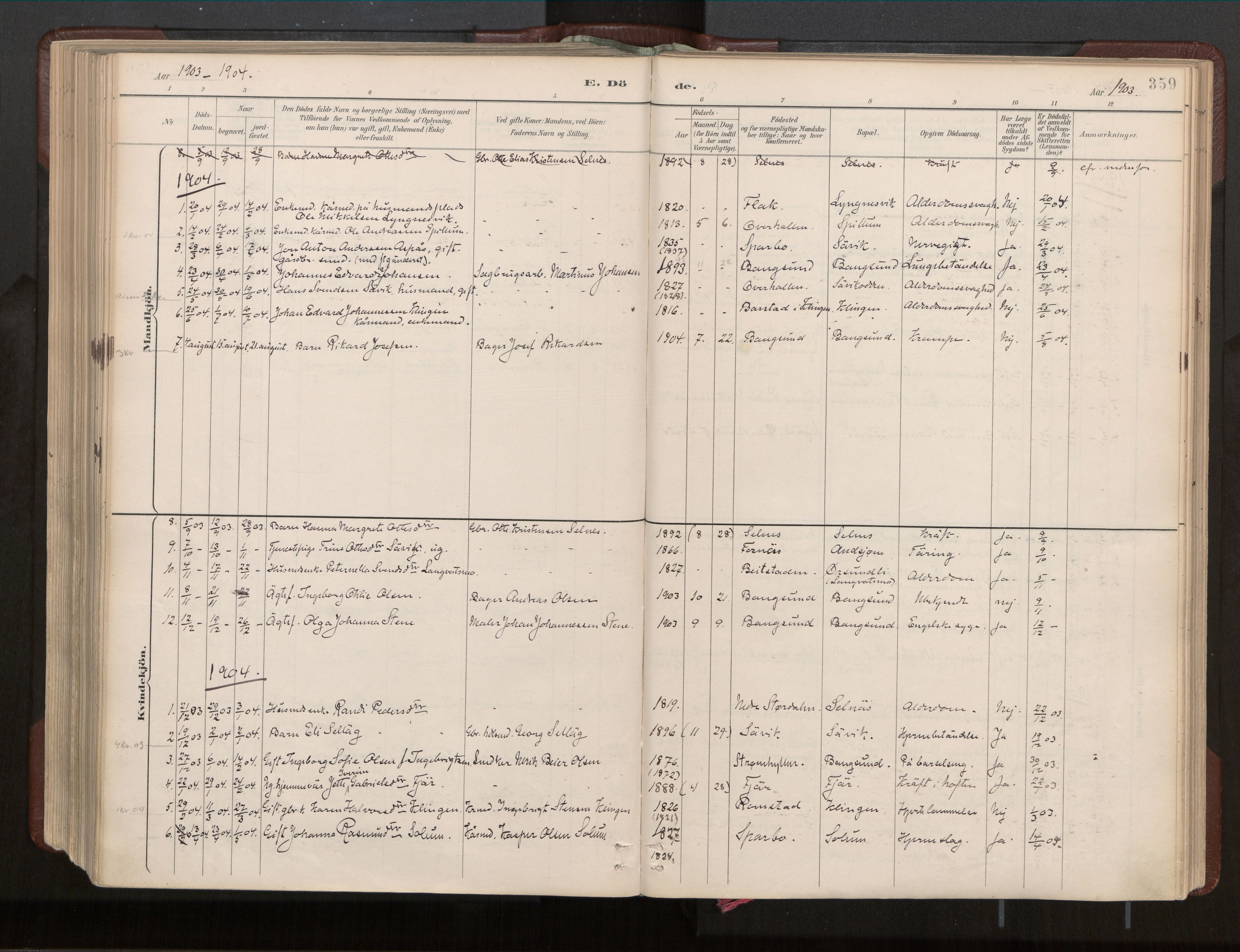 Ministerialprotokoller, klokkerbøker og fødselsregistre - Nord-Trøndelag, AV/SAT-A-1458/770/L0589: Parish register (official) no. 770A03, 1887-1929, p. 359