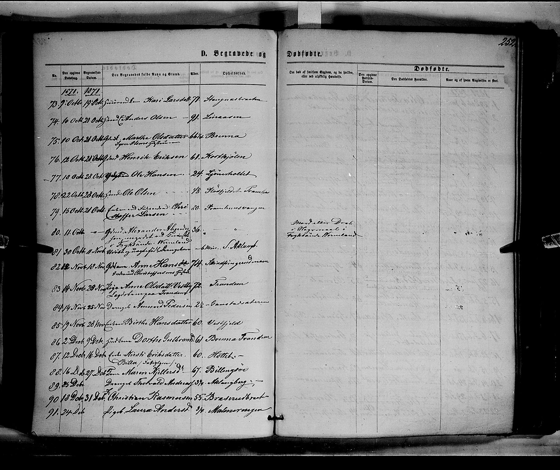 Eidskog prestekontor, AV/SAH-PREST-026/H/Ha/Haa/L0002: Parish register (official) no. 2, 1867-1878, p. 252