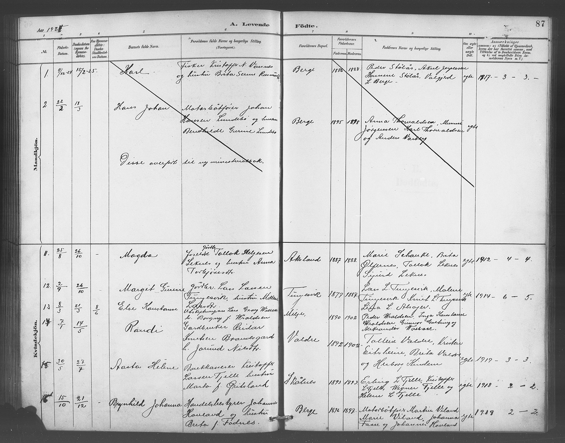 Skånevik sokneprestembete, AV/SAB-A-77801/H/Hab: Parish register (copy) no. A 2, 1888-1924, p. 87