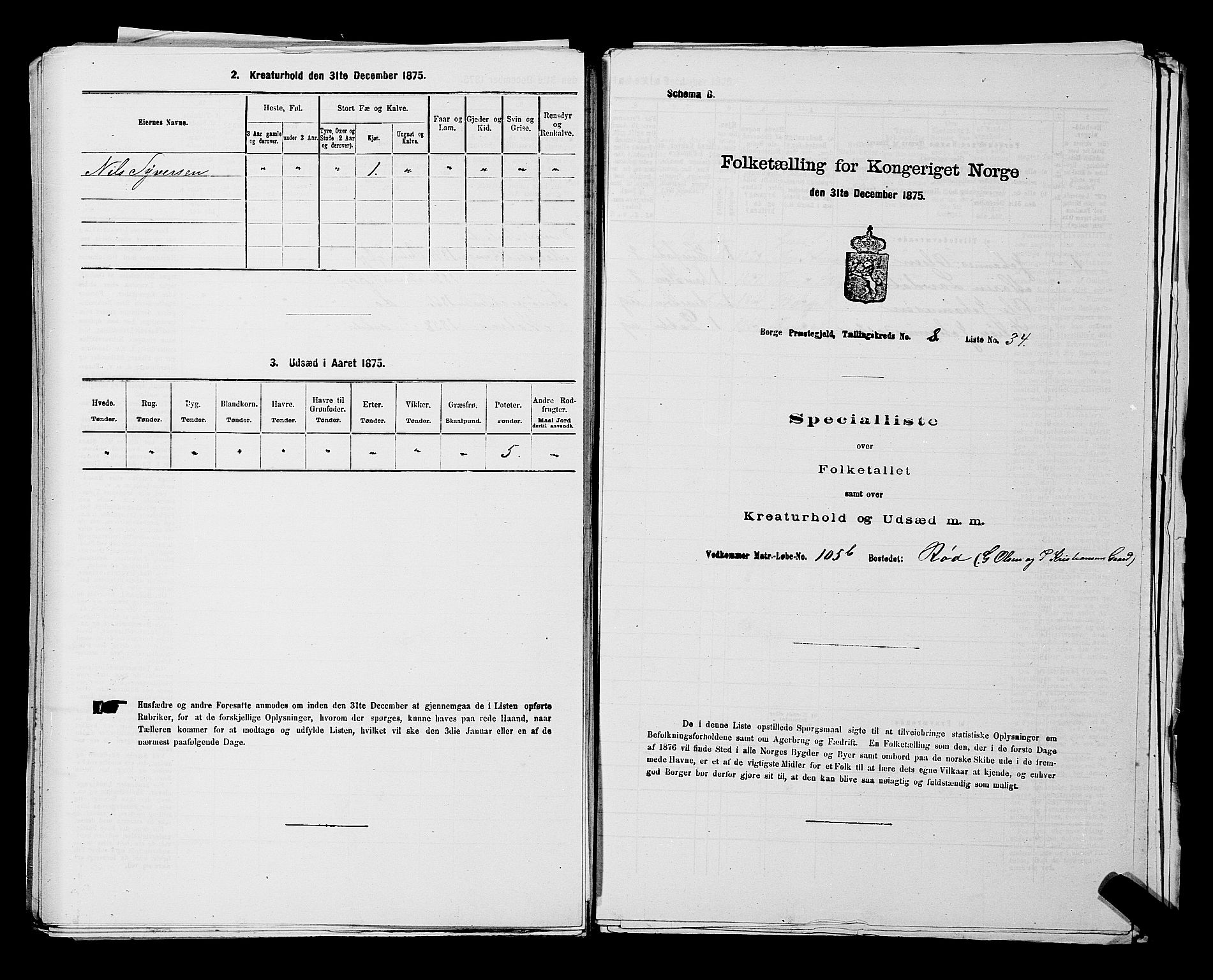 RA, 1875 census for 0113P Borge, 1875, p. 1173