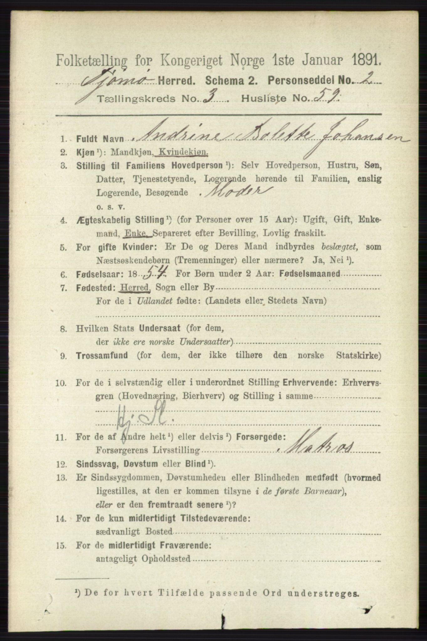 RA, 1891 census for 0723 Tjøme, 1891, p. 1205