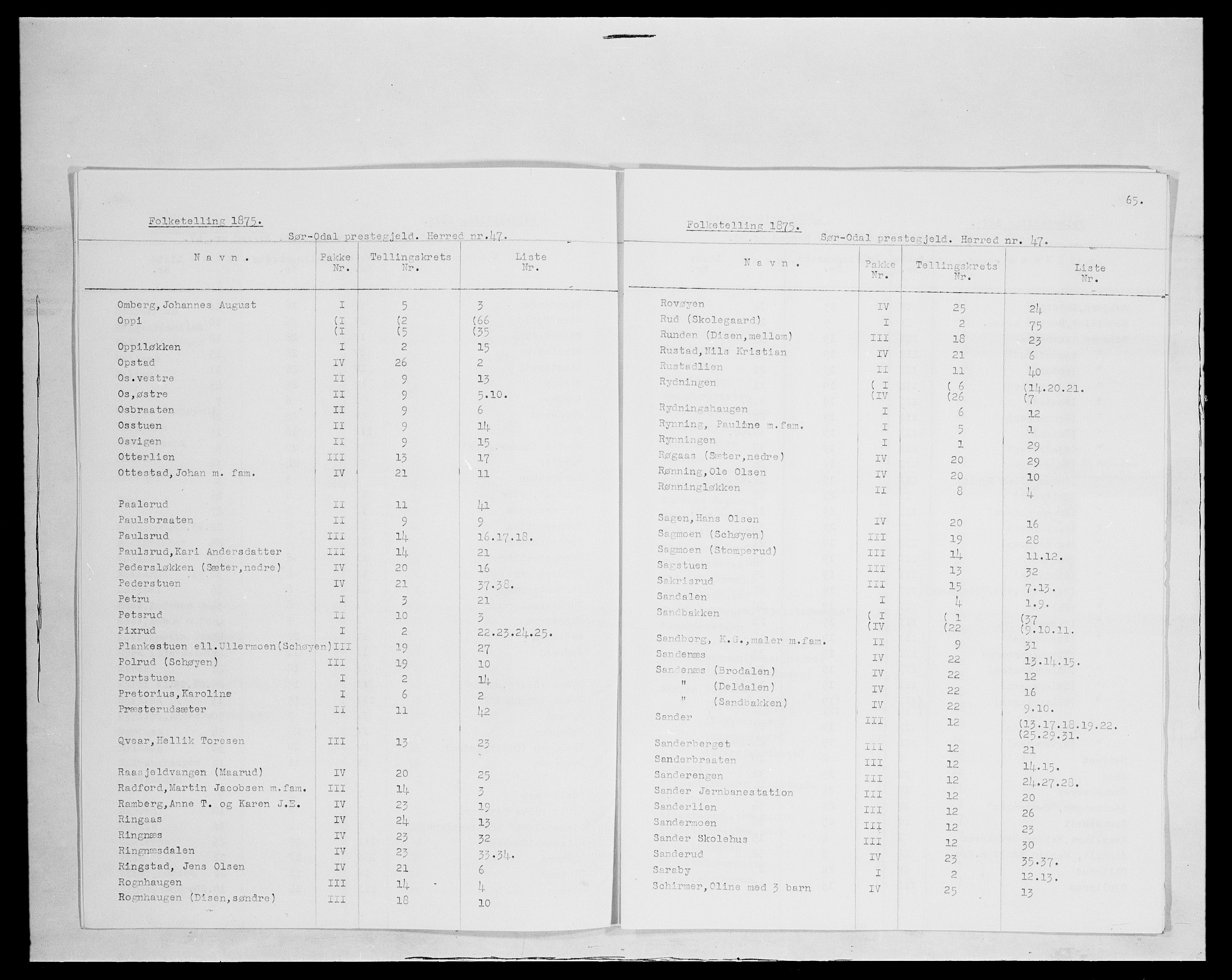 SAH, 1875 census for 0419P Sør-Odal, 1875, p. 11