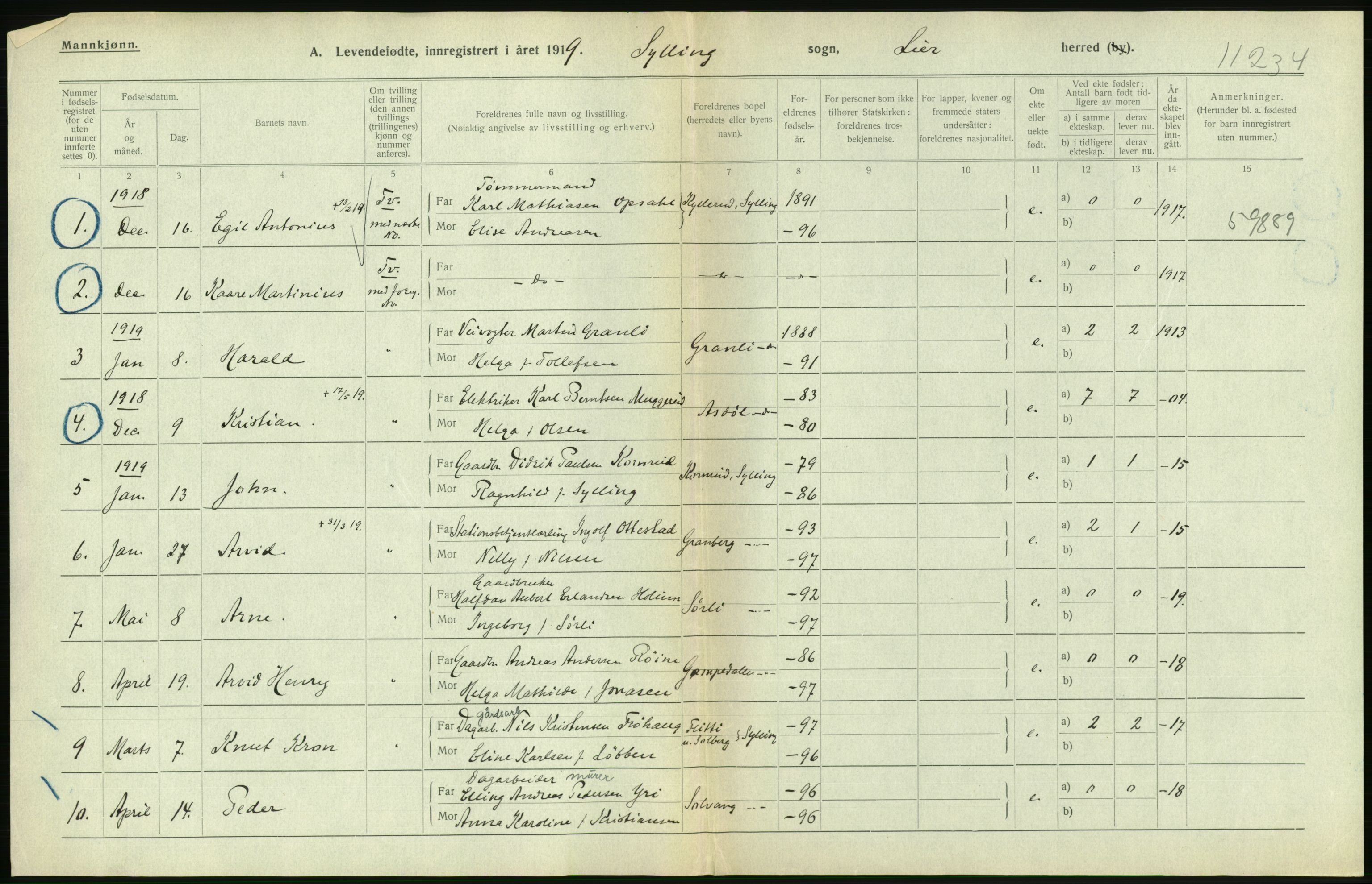 Statistisk sentralbyrå, Sosiodemografiske emner, Befolkning, RA/S-2228/D/Df/Dfb/Dfbi/L0016: Buskerud fylke: Levendefødte menn og kvinner. Bygder., 1919, p. 364