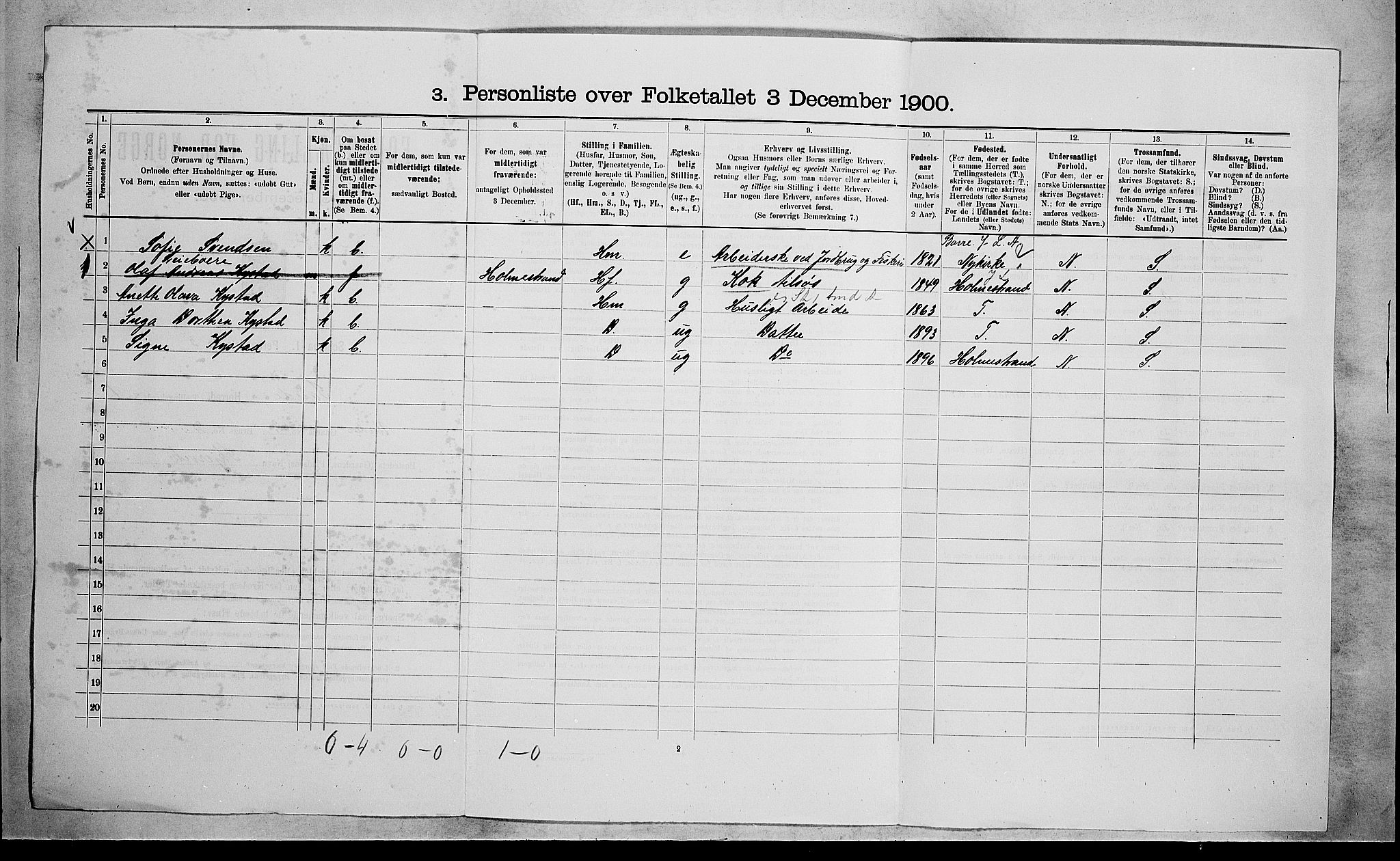 RA, 1900 census for Sande, 1900, p. 101