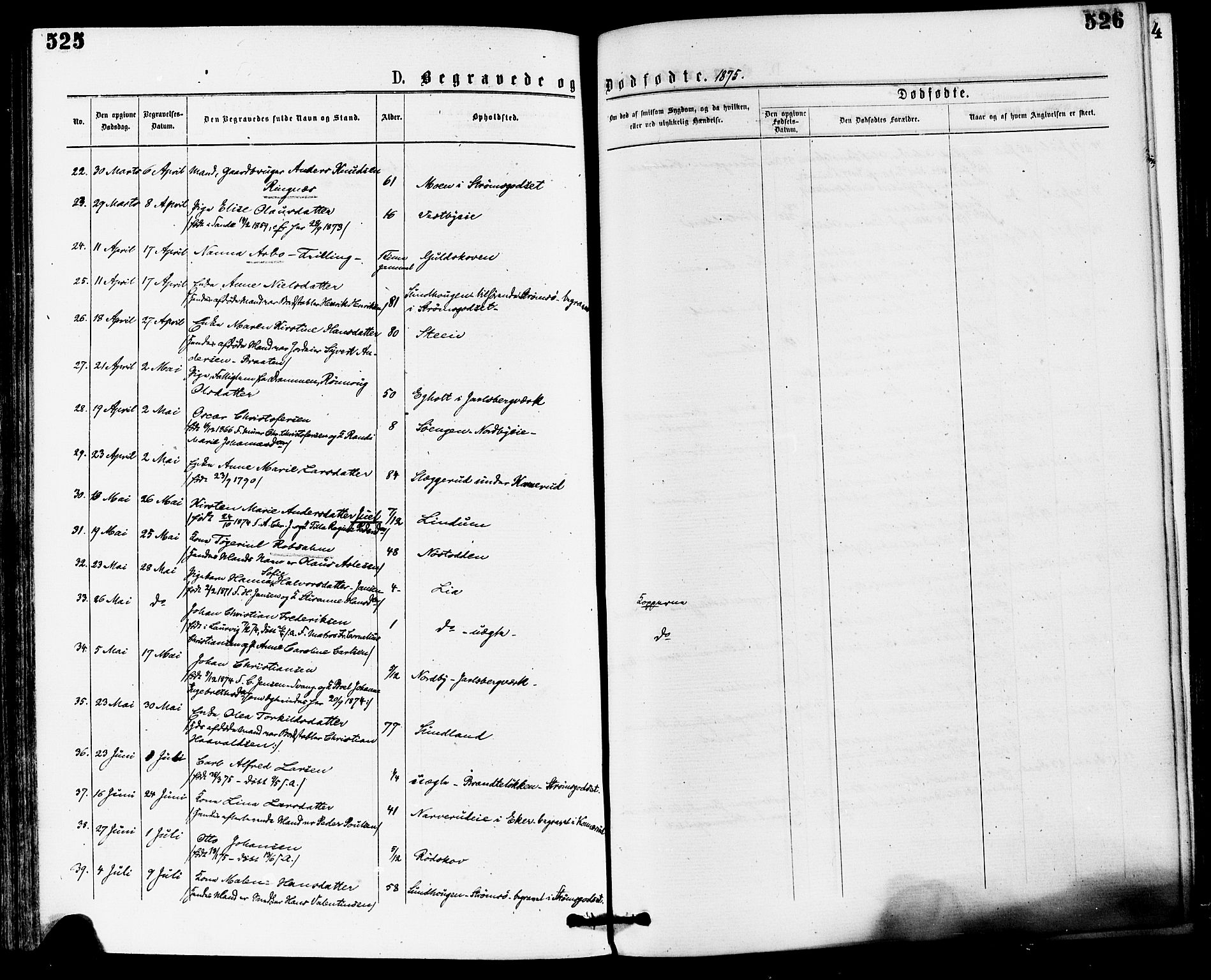 Skoger kirkebøker, AV/SAKO-A-59/F/Fa/L0005: Parish register (official) no. I 5, 1873-1884, p. 525-526