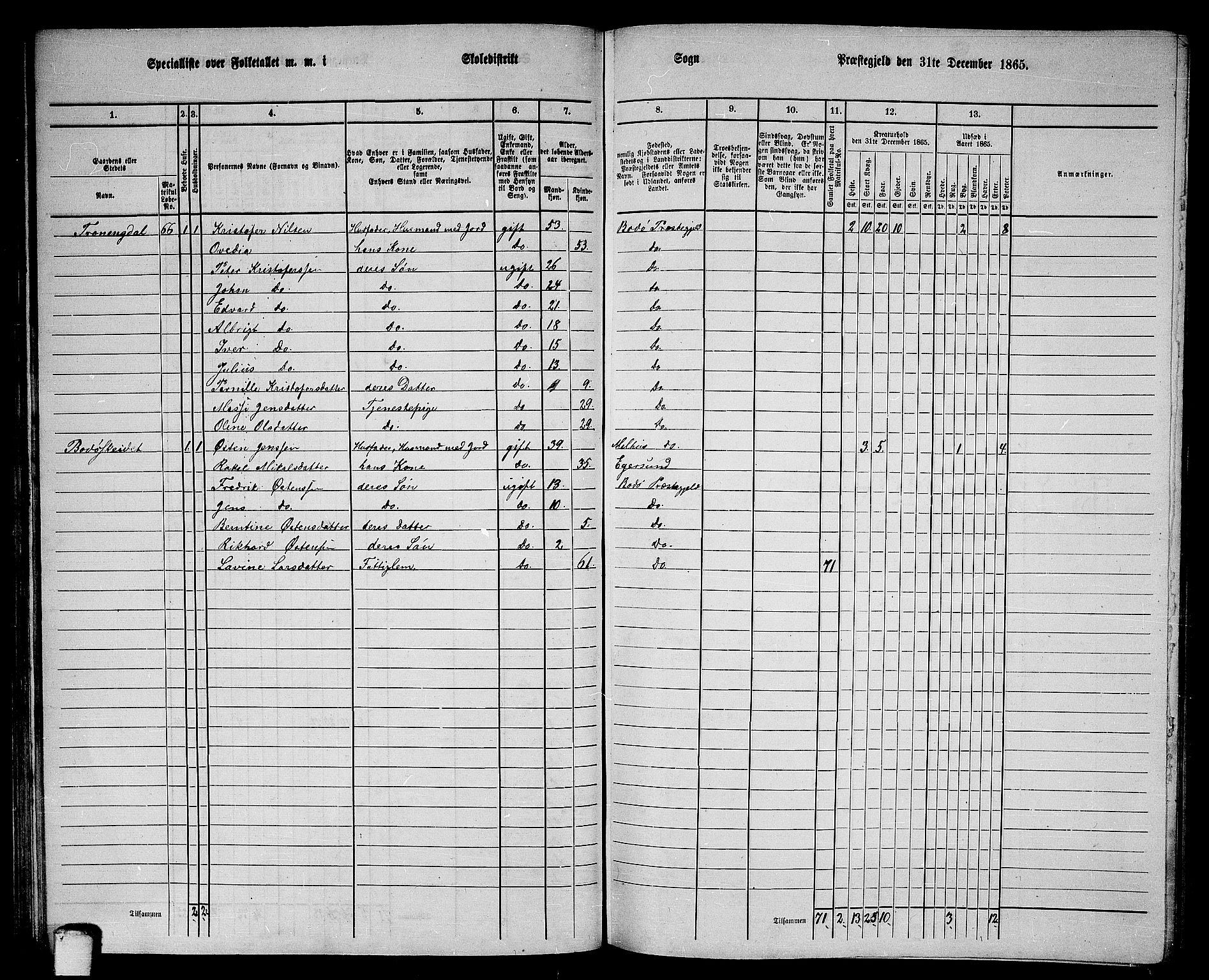 RA, 1865 census for Bodø/Bodø, 1865, p. 43