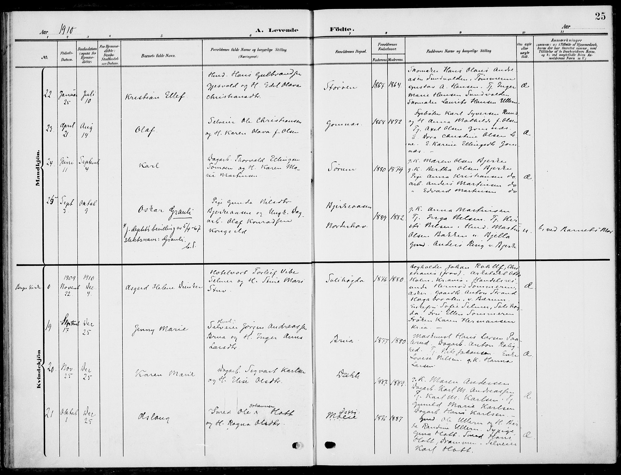 Hole kirkebøker, AV/SAKO-A-228/F/Fa/L0010: Parish register (official) no. I 10, 1907-1917, p. 25