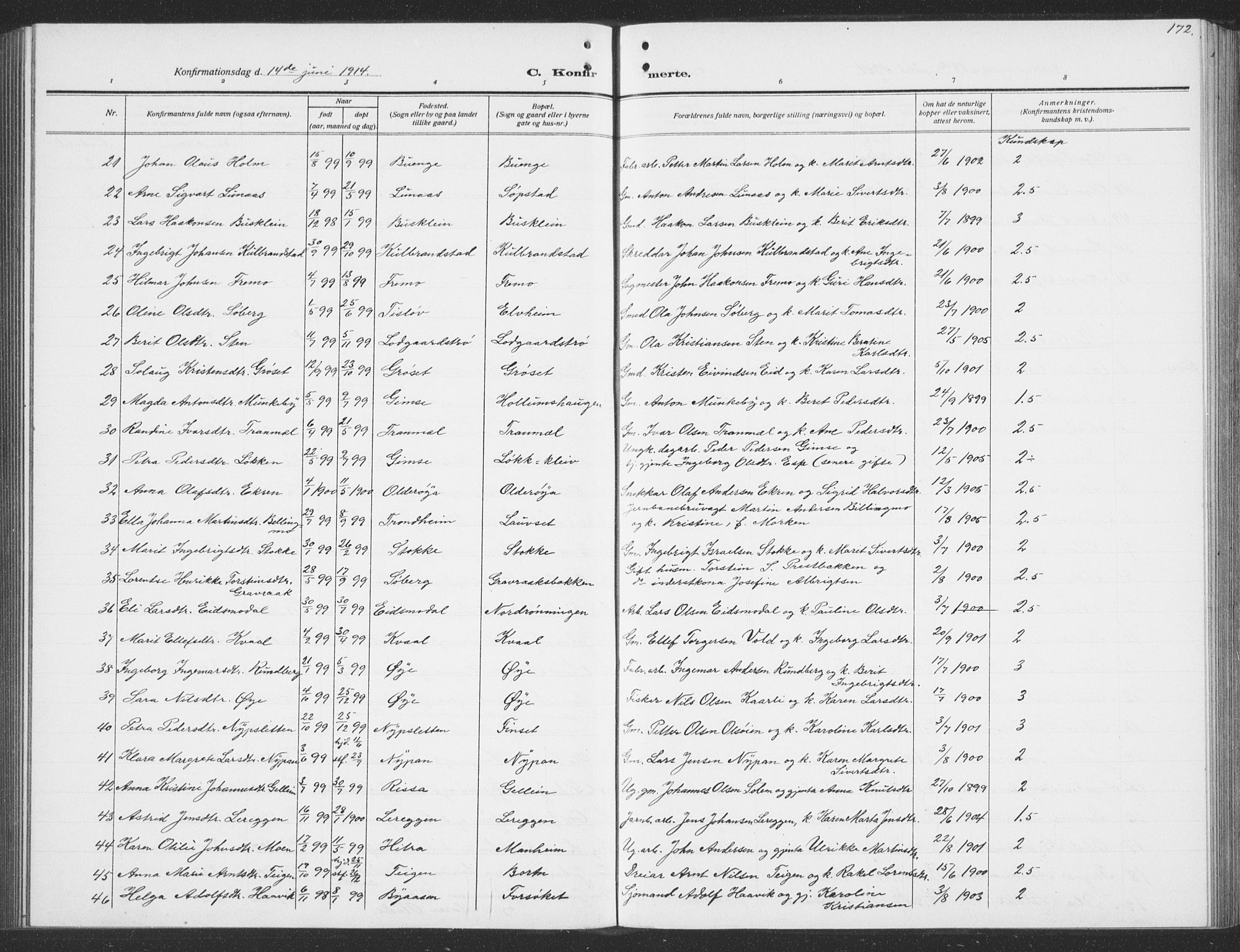 Ministerialprotokoller, klokkerbøker og fødselsregistre - Sør-Trøndelag, SAT/A-1456/691/L1095: Parish register (copy) no. 691C06, 1912-1933, p. 172