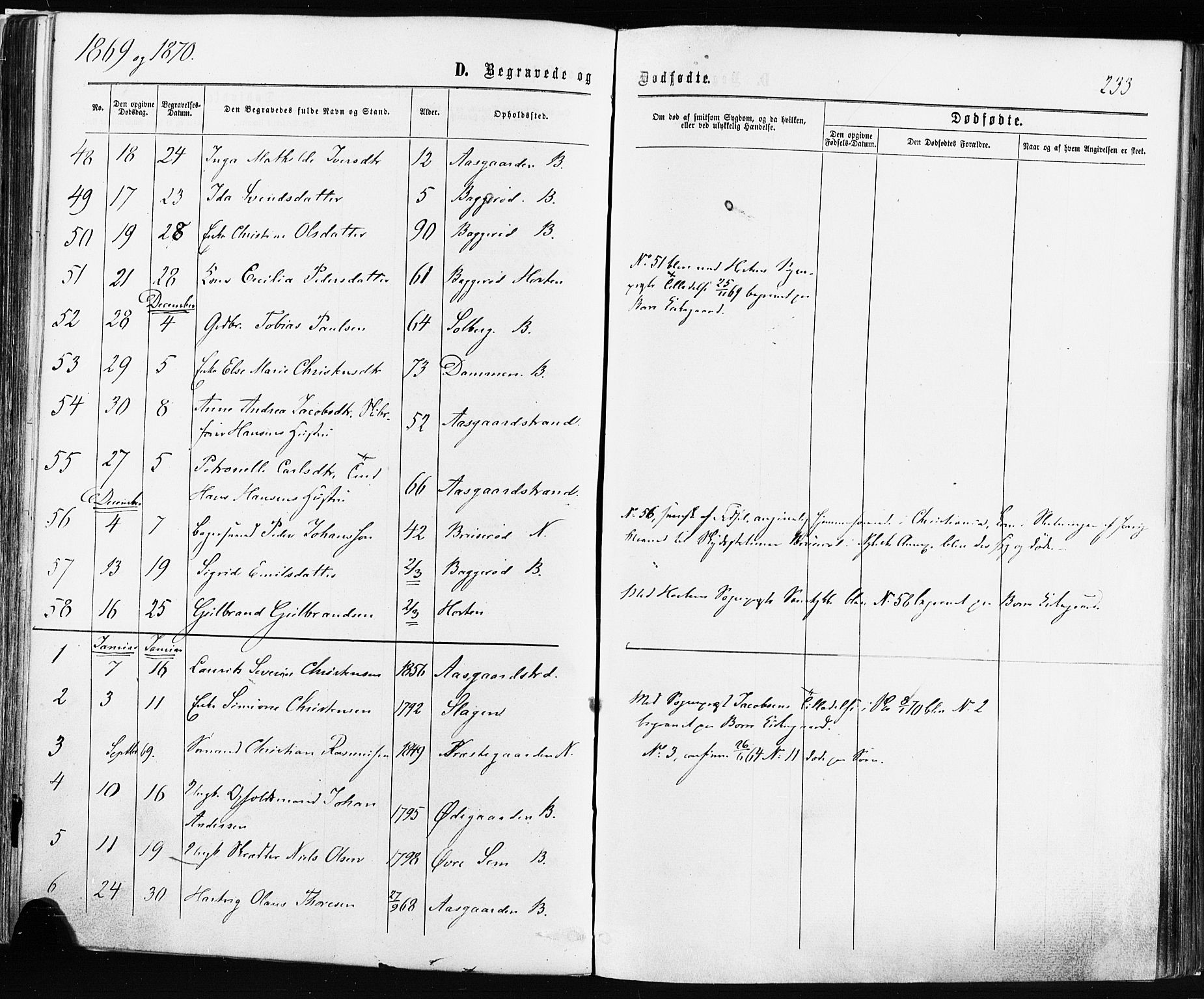 Borre kirkebøker, SAKO/A-338/F/Fa/L0008: Parish register (official) no. I 8, 1868-1877, p. 233
