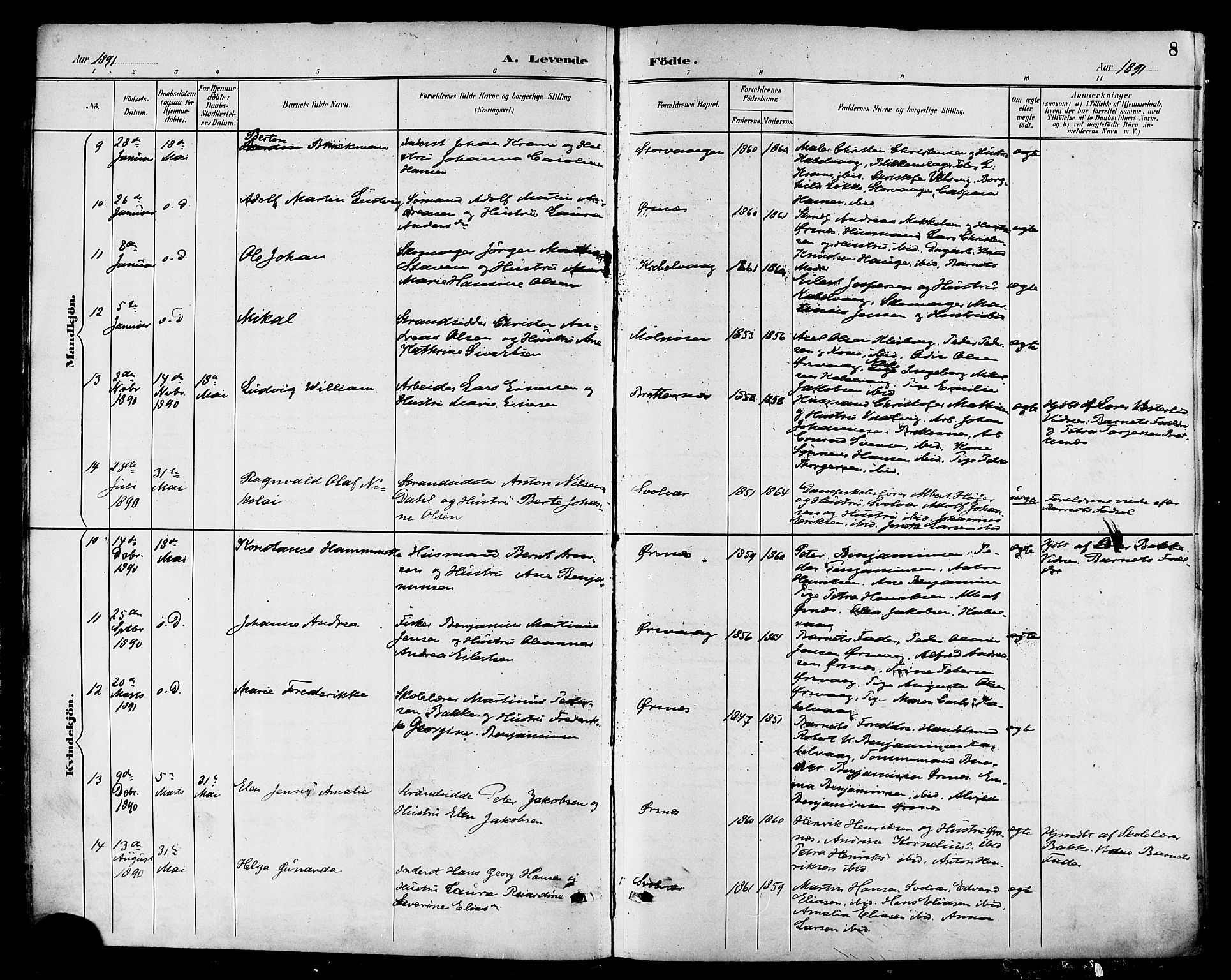 Ministerialprotokoller, klokkerbøker og fødselsregistre - Nordland, AV/SAT-A-1459/874/L1060: Parish register (official) no. 874A04, 1890-1899, p. 8