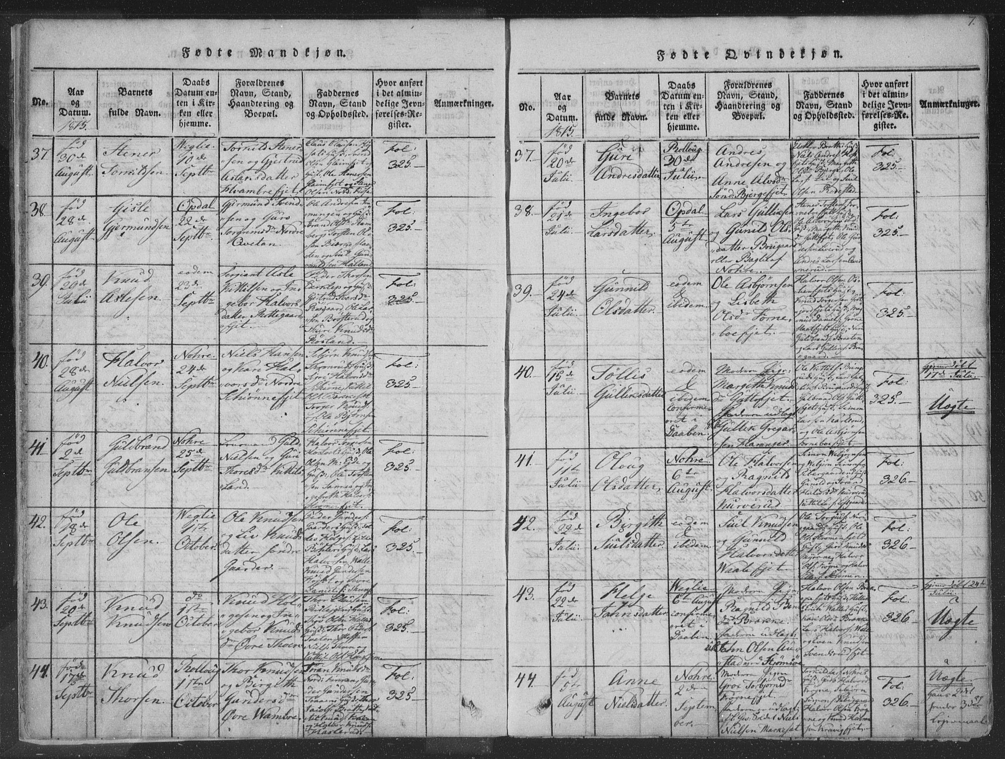 Rollag kirkebøker, SAKO/A-240/F/Fa/L0006: Parish register (official) no. I 6, 1814-1828, p. 7