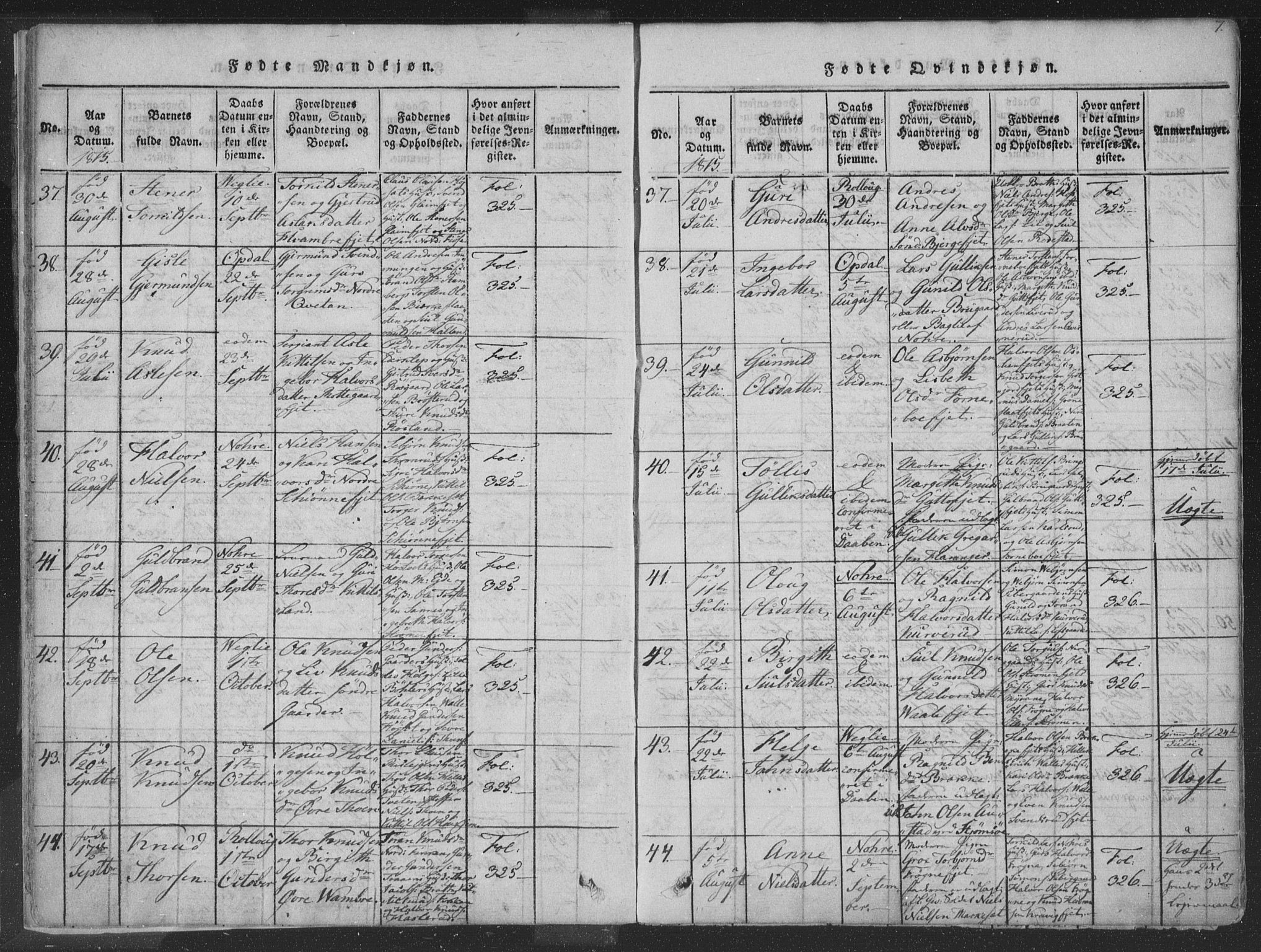 Rollag kirkebøker, AV/SAKO-A-240/F/Fa/L0006: Parish register (official) no. I 6, 1814-1828, p. 7