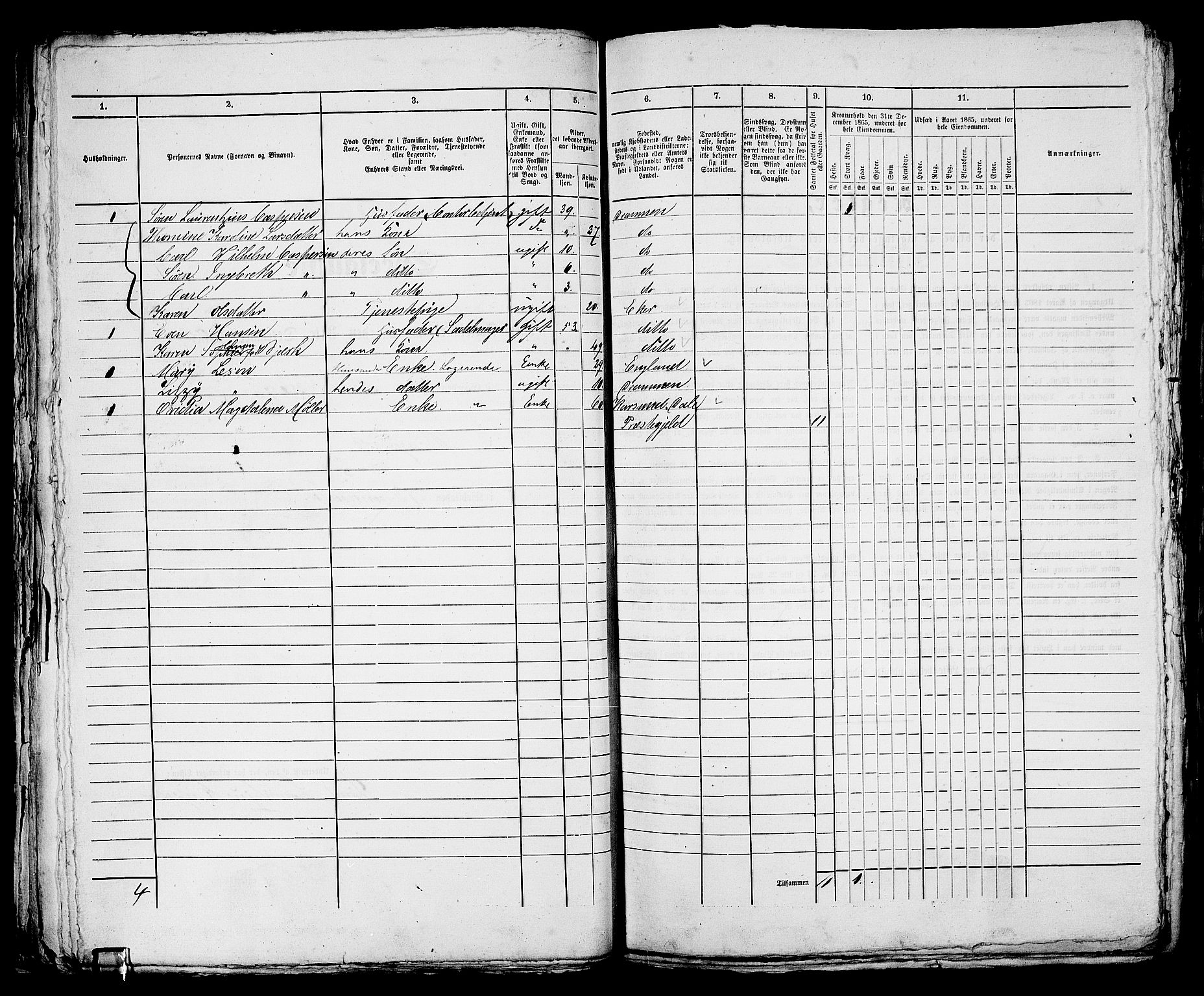 RA, 1865 census for Bragernes in Drammen, 1865, p. 710