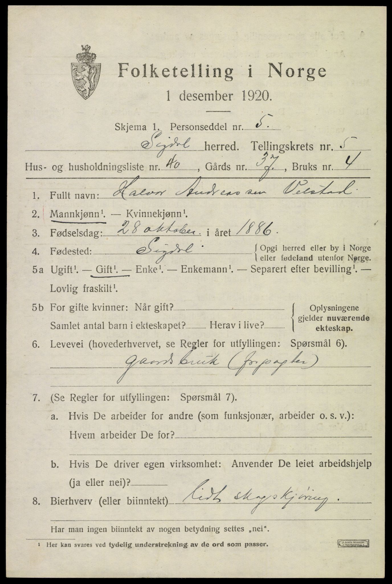 SAKO, 1920 census for Sigdal, 1920, p. 4238