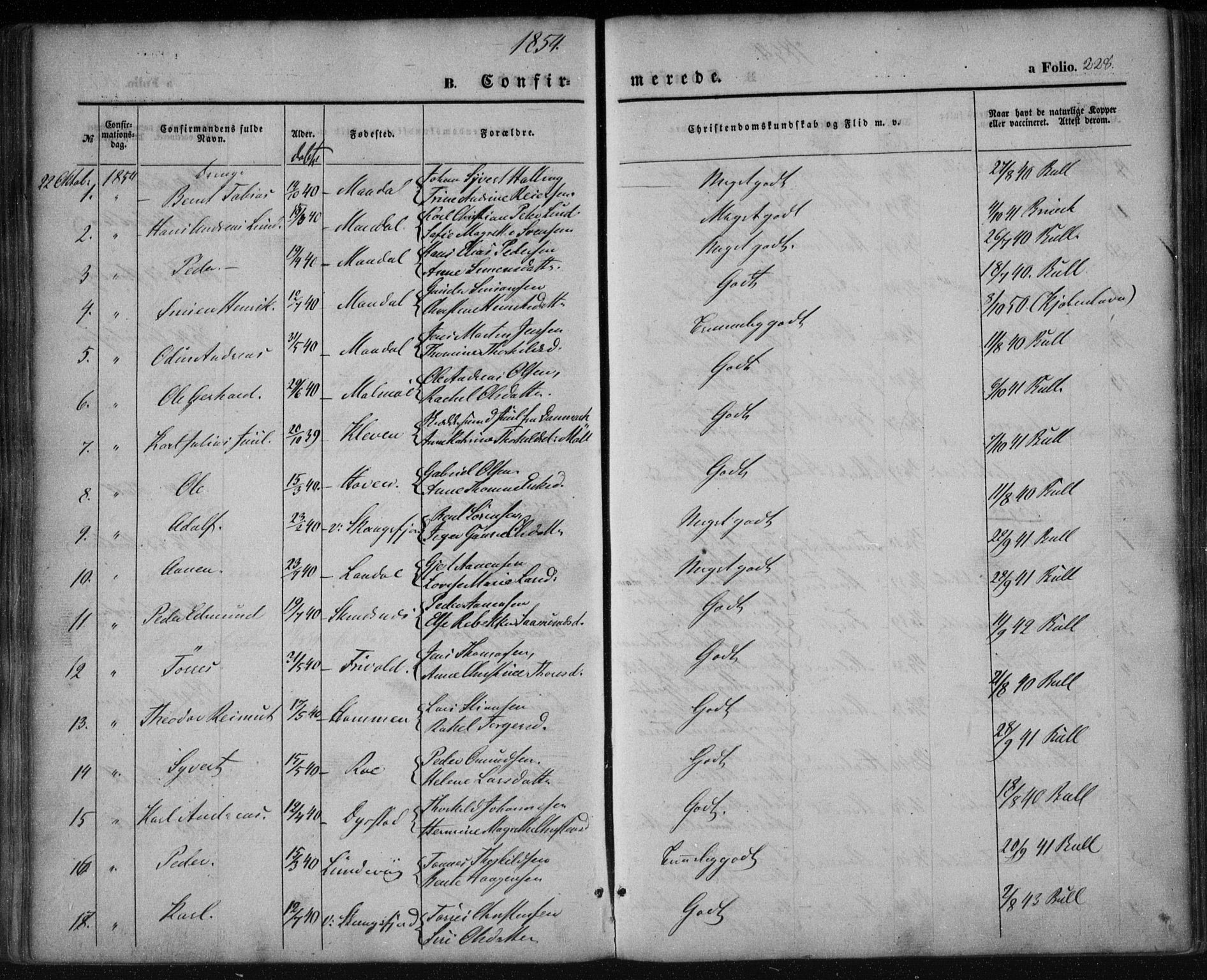 Mandal sokneprestkontor, AV/SAK-1111-0030/F/Fa/Faa/L0013: Parish register (official) no. A 13, 1847-1859, p. 228