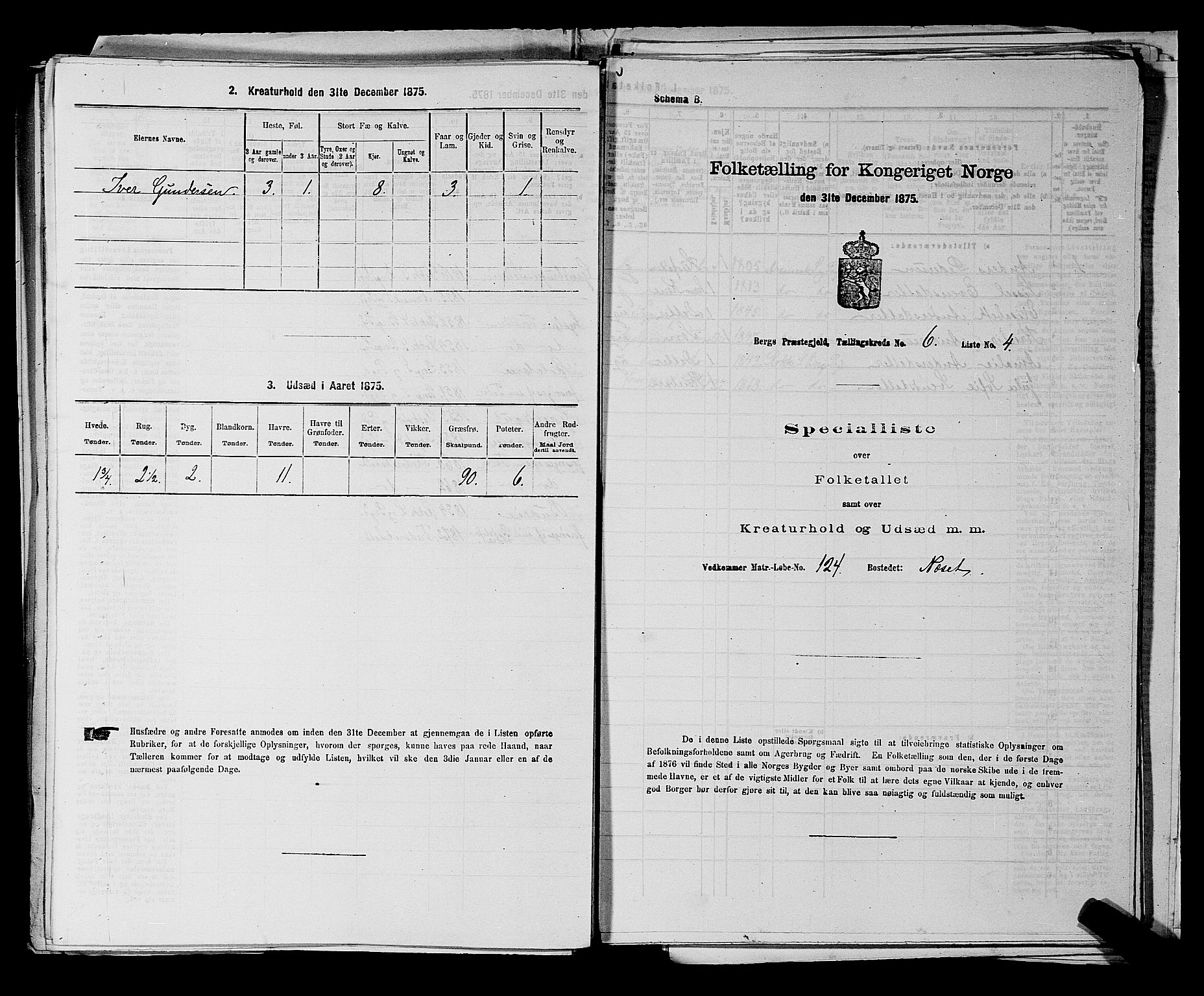 RA, 1875 census for 0116P Berg, 1875, p. 991