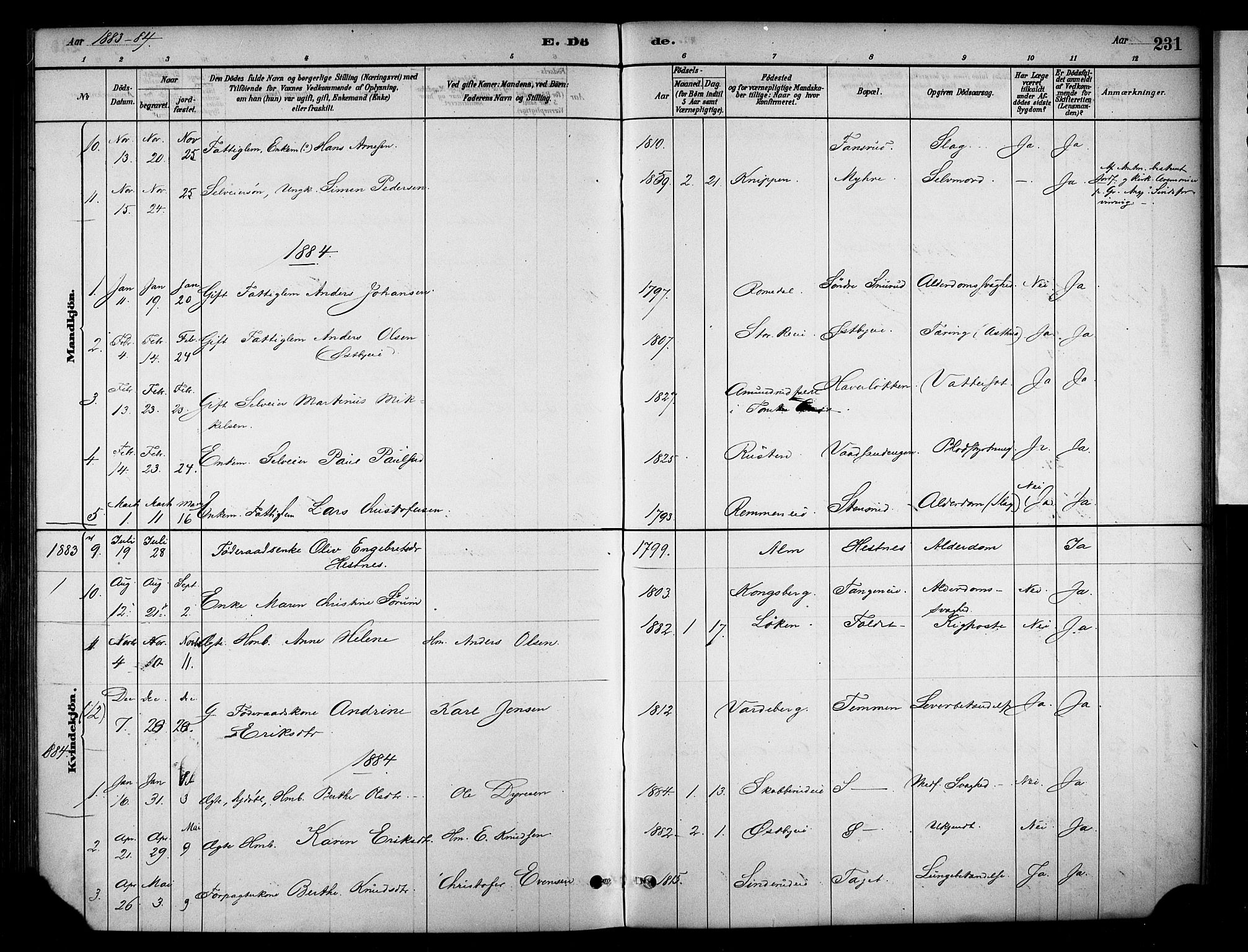 Stange prestekontor, SAH/PREST-002/K/L0018: Parish register (official) no. 18, 1880-1896, p. 231