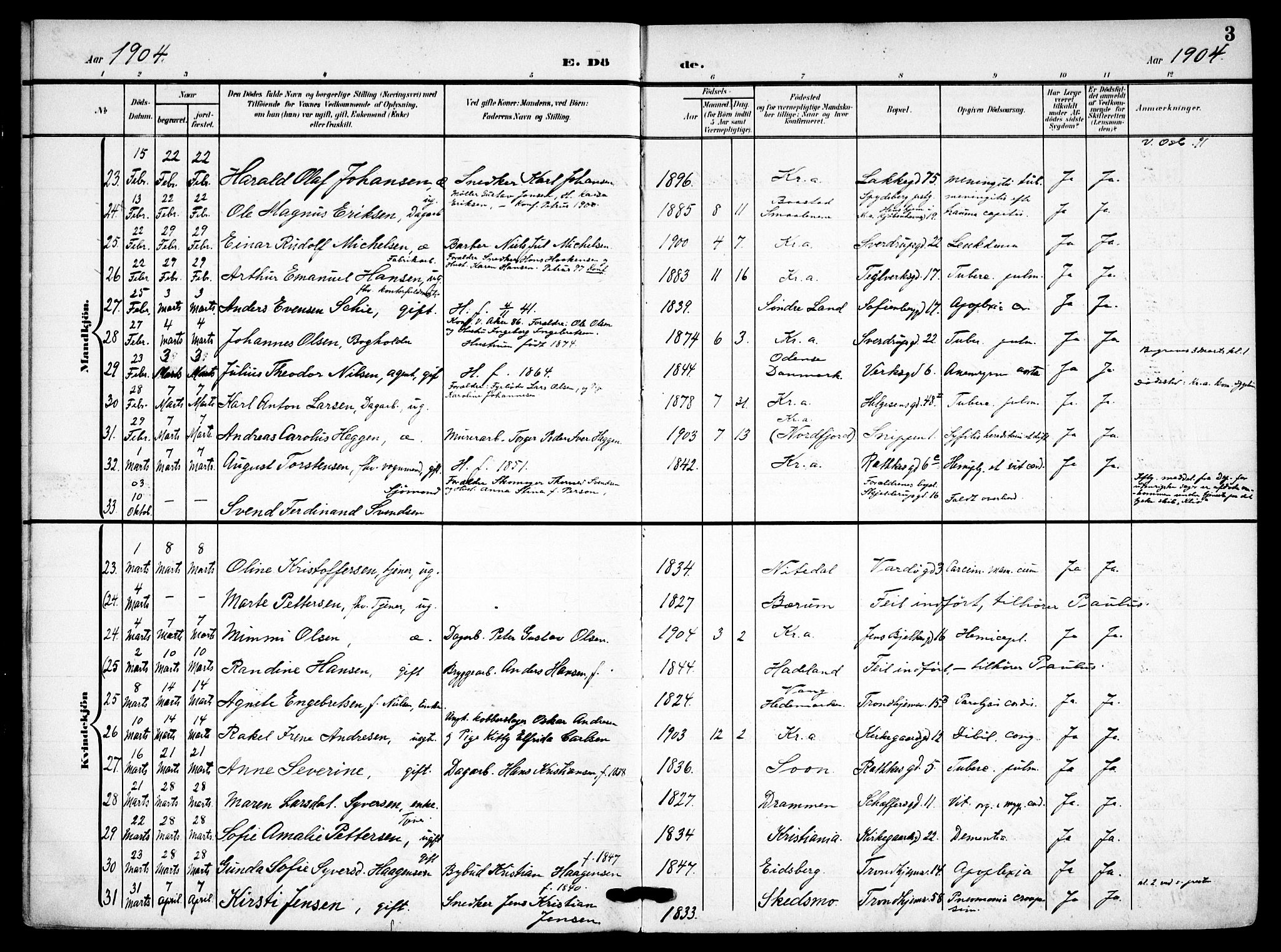 Petrus prestekontor Kirkebøker, AV/SAO-A-10872/F/Fa/L0010: Parish register (official) no. I 10, 1904-1916, p. 3