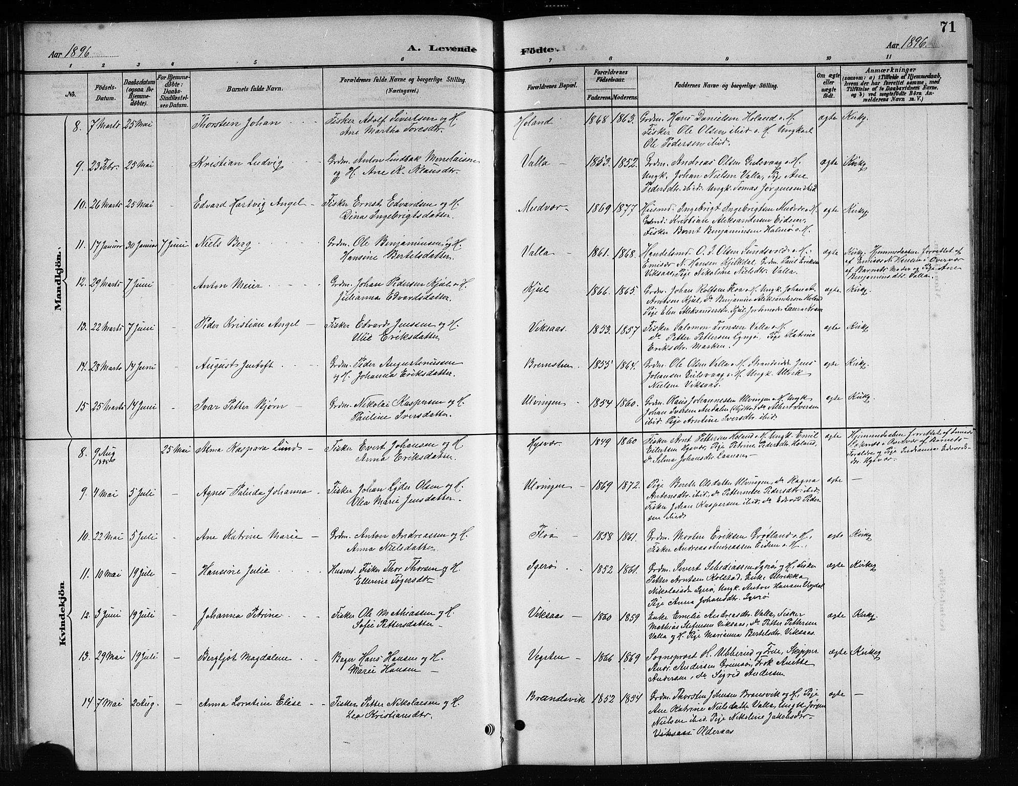 Ministerialprotokoller, klokkerbøker og fødselsregistre - Nordland, AV/SAT-A-1459/816/L0253: Parish register (copy) no. 816C03, 1886-1905, p. 71