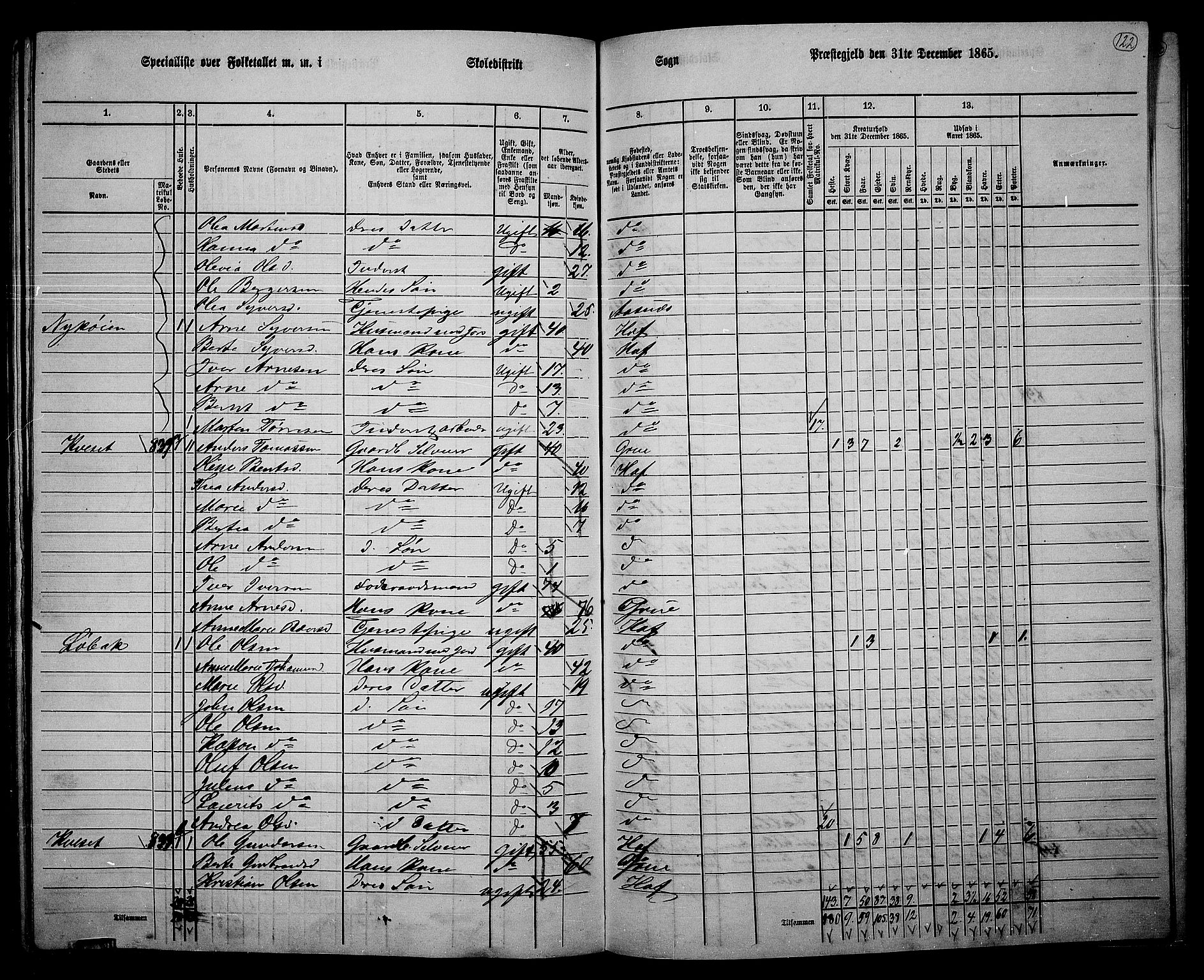 RA, 1865 census for Hof, 1865, p. 114