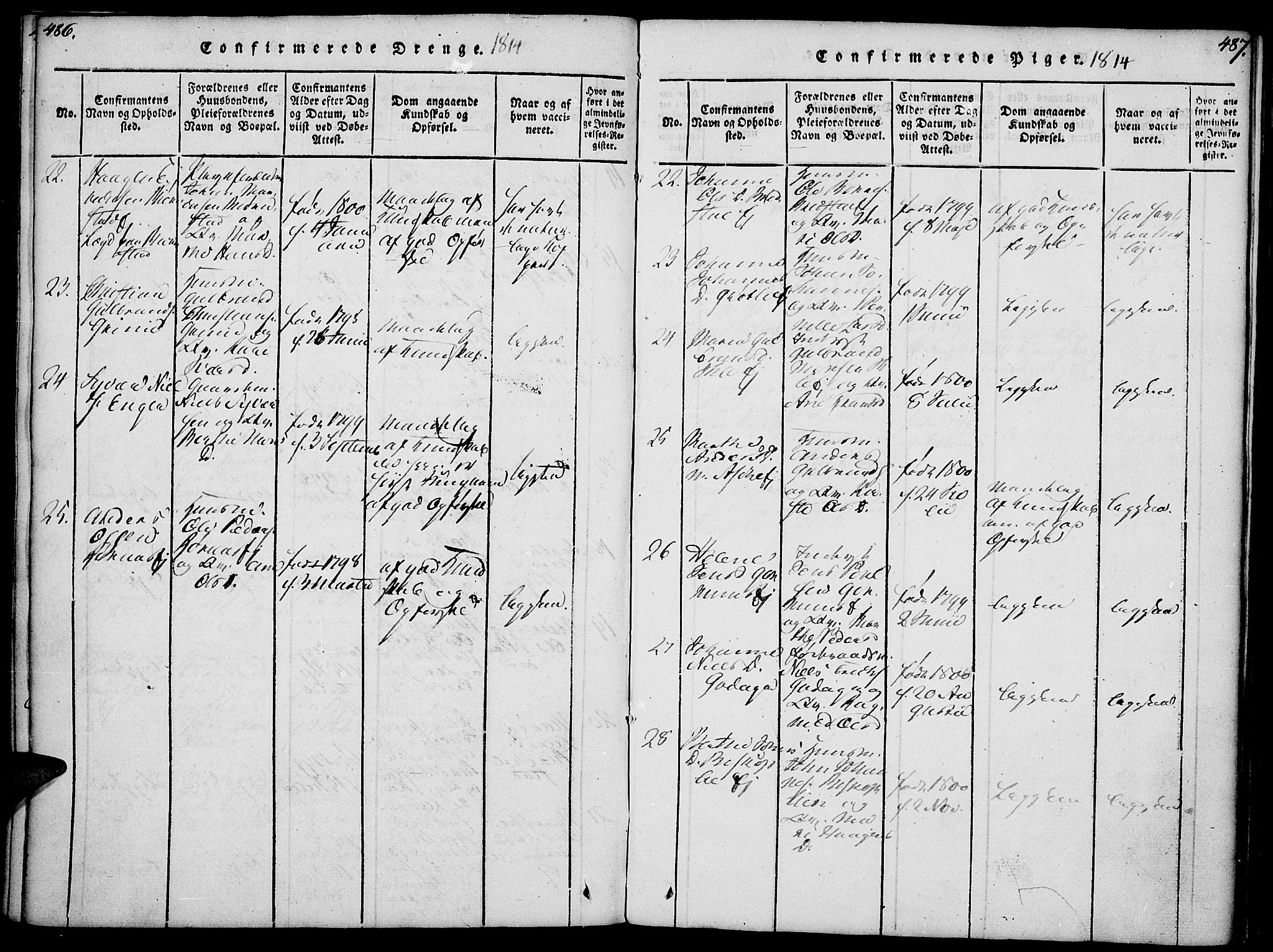 Nes prestekontor, Hedmark, AV/SAH-PREST-020/K/Ka/L0002: Parish register (official) no. 2, 1813-1827, p. 486-487