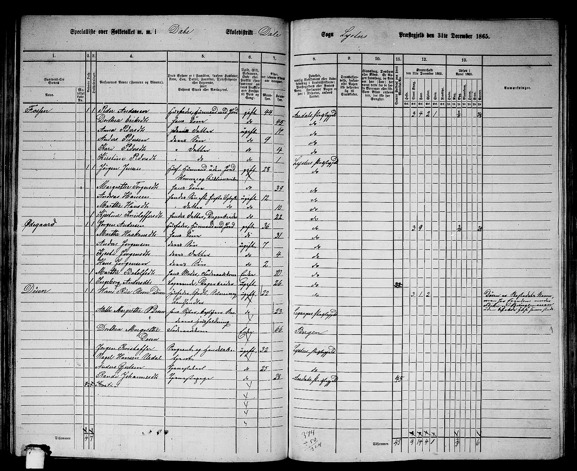 RA, 1865 census for Luster, 1865, p. 100