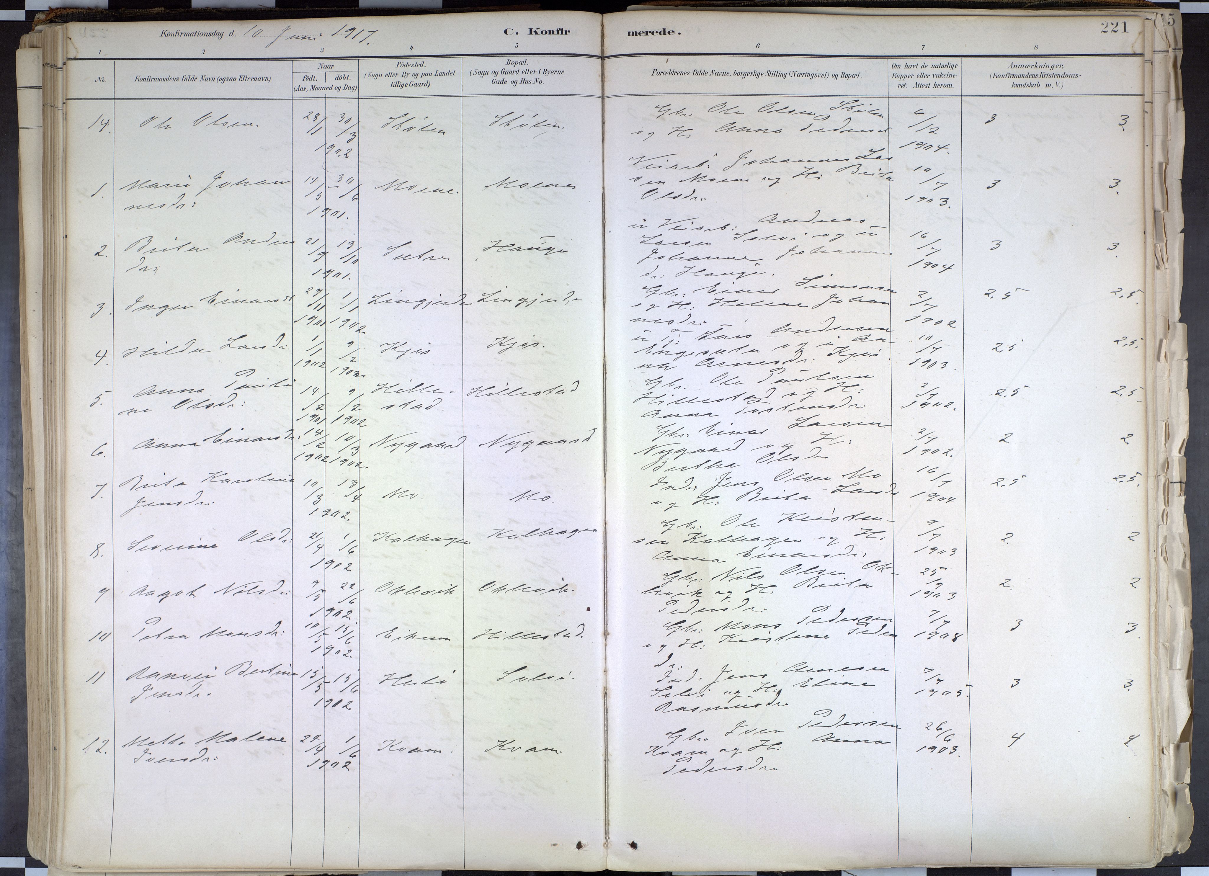 Hafslo sokneprestembete, AV/SAB-A-80301/H/Haa/Haab/L0001: Parish register (official) no. B 1, 1886-1945, p. 221