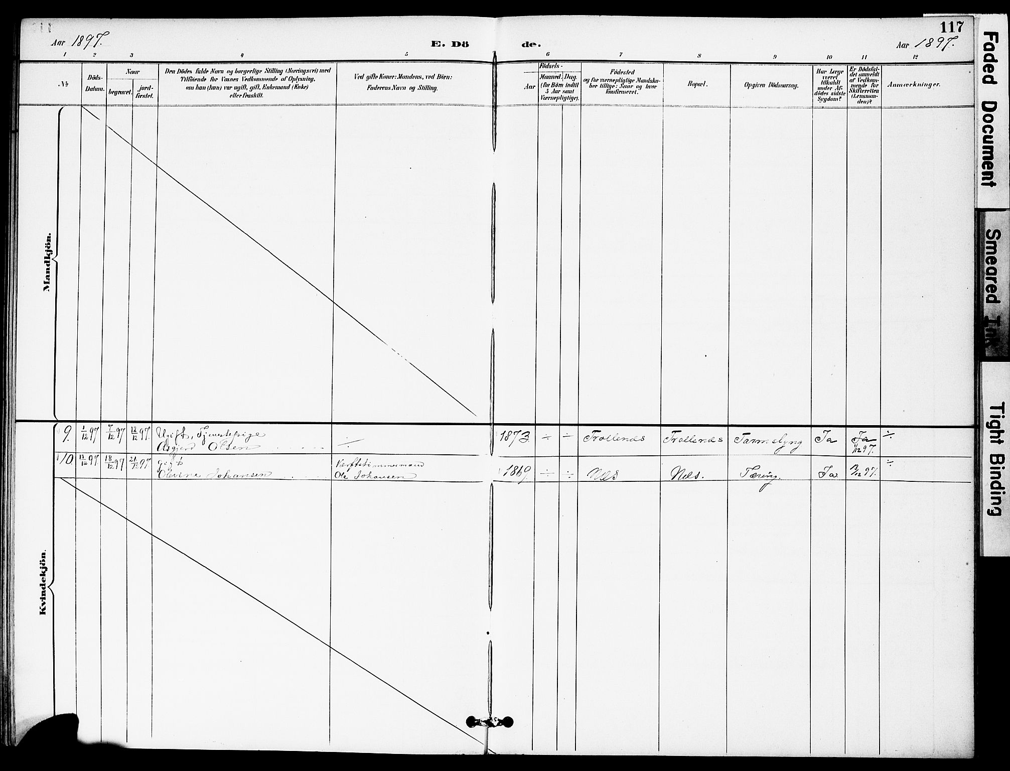 Austre Moland sokneprestkontor, AV/SAK-1111-0001/F/Fa/Fab/L0002: Parish register (official) no. A 2, 1894-1919, p. 117