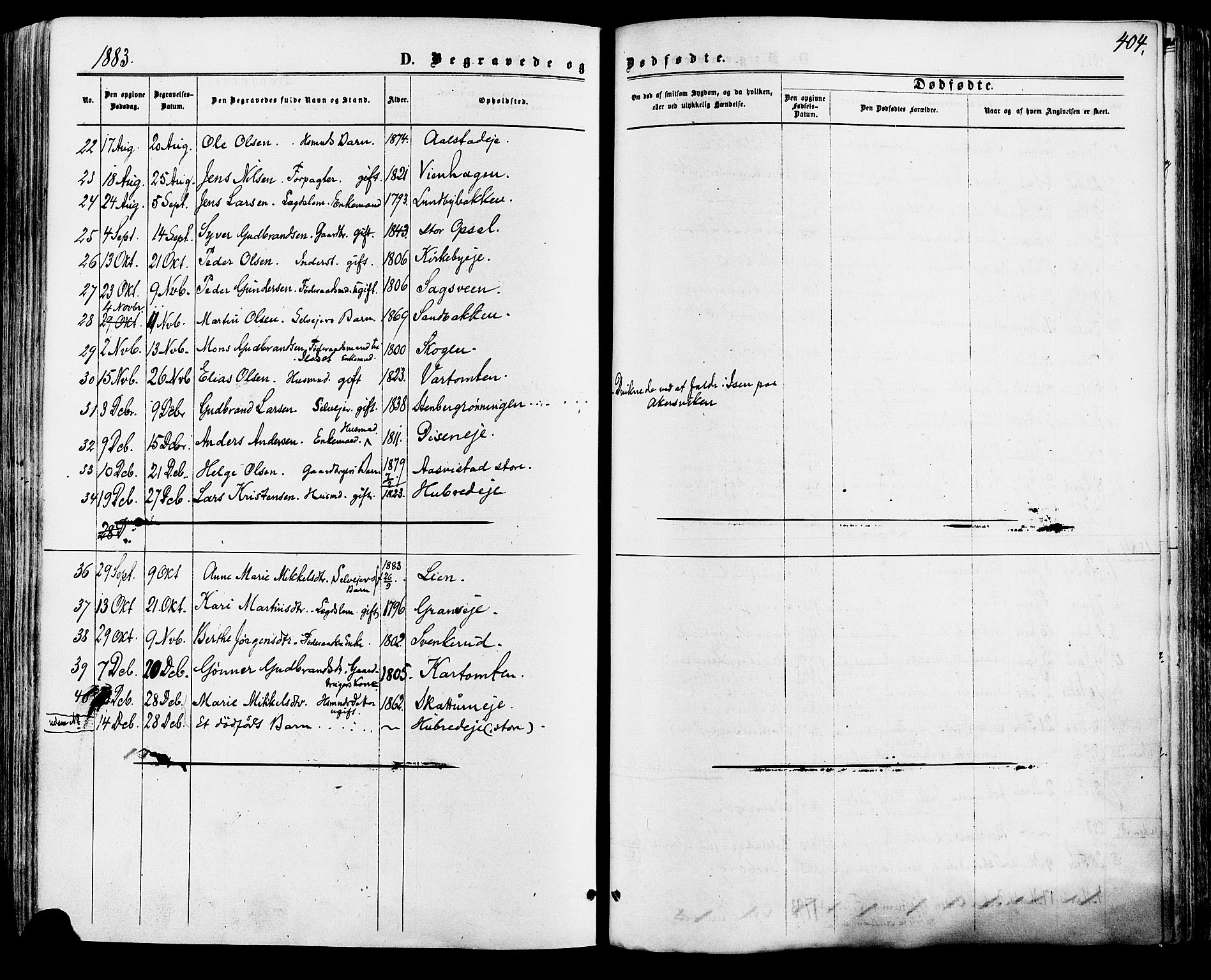 Vang prestekontor, Hedmark, AV/SAH-PREST-008/H/Ha/Haa/L0015: Parish register (official) no. 15, 1871-1885, p. 404