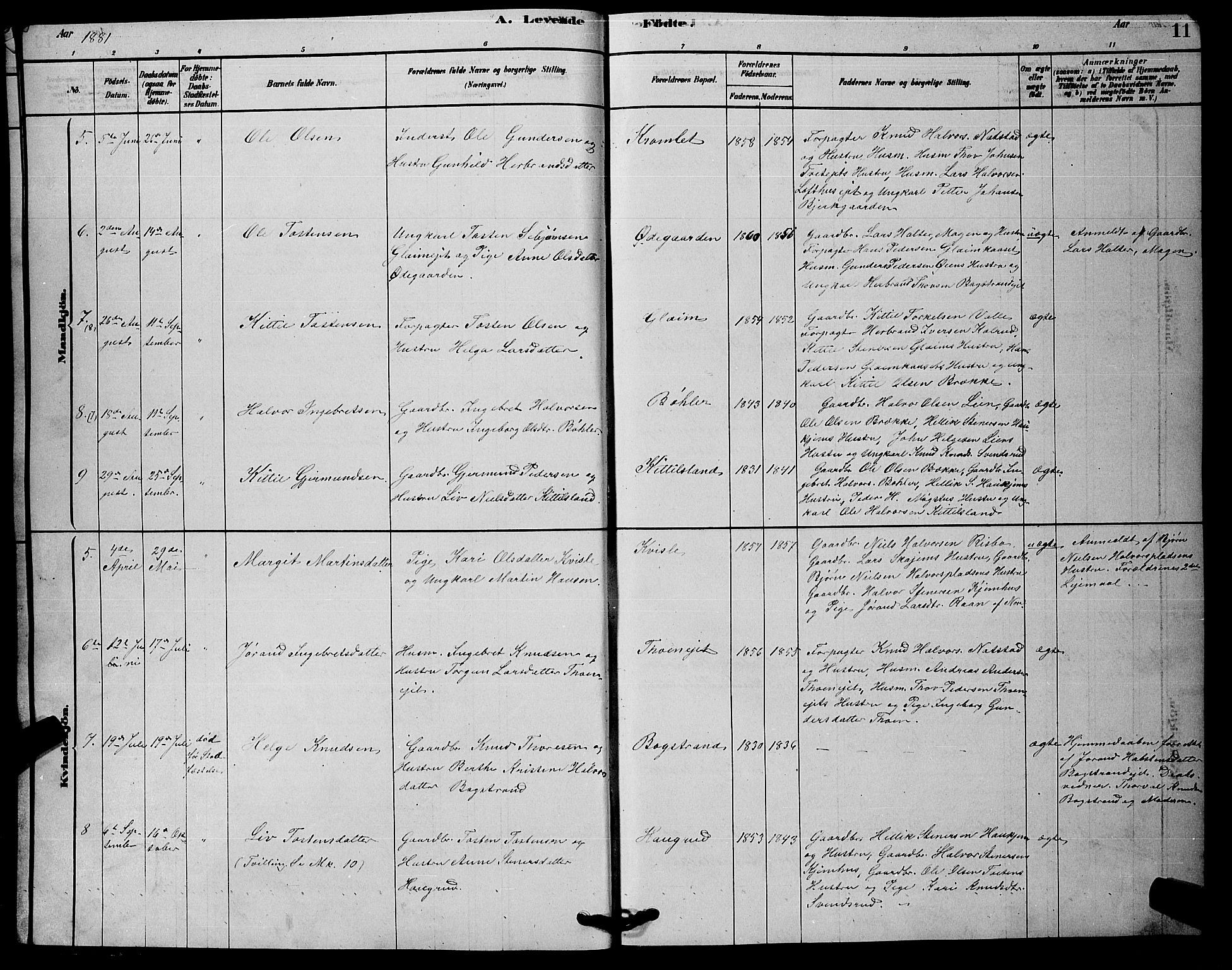 Rollag kirkebøker, AV/SAKO-A-240/G/Gb/L0002: Parish register (copy) no. II 2, 1878-1898, p. 11