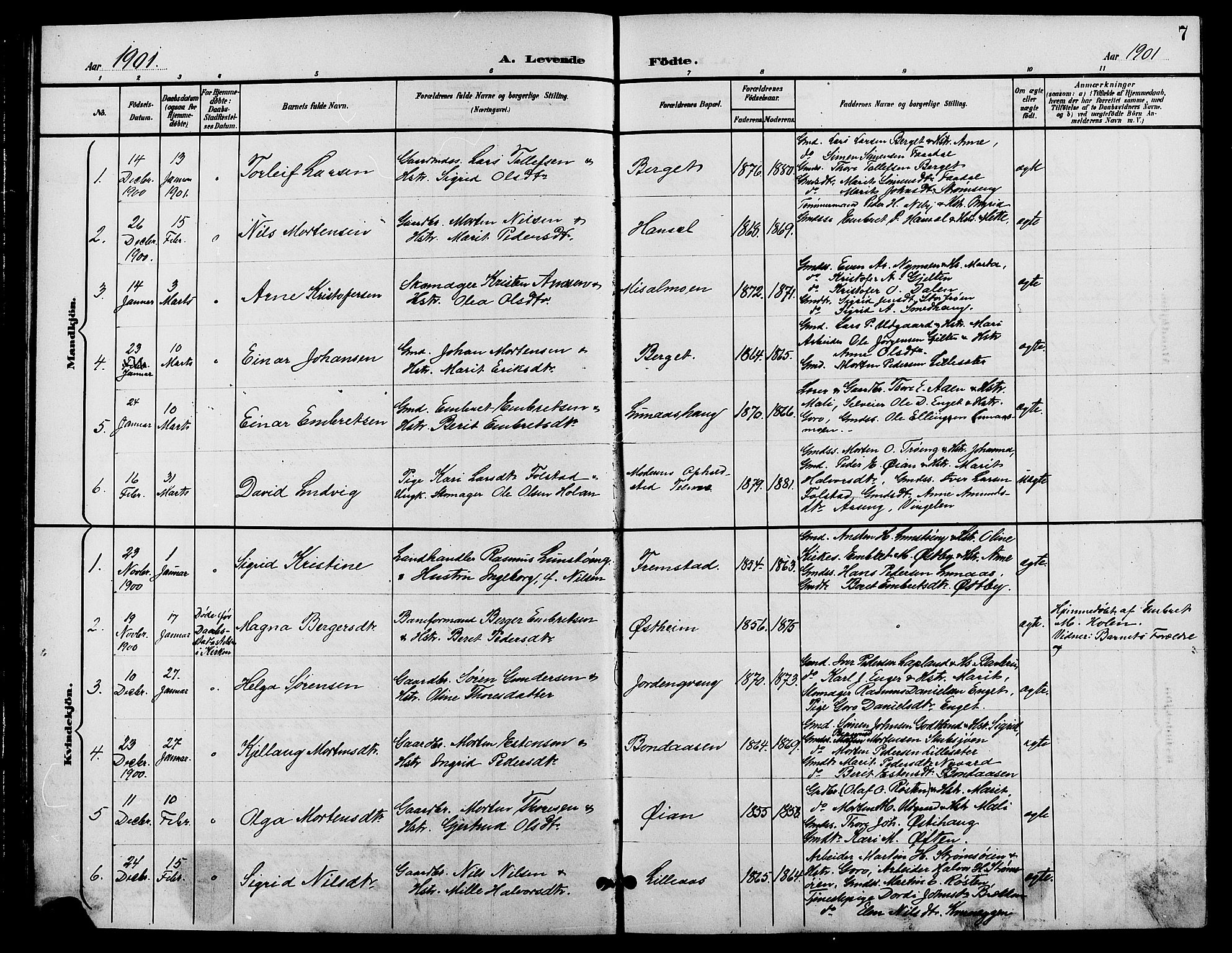 Tynset prestekontor, AV/SAH-PREST-058/H/Ha/Hab/L0009: Parish register (copy) no. 9, 1900-1914, p. 7