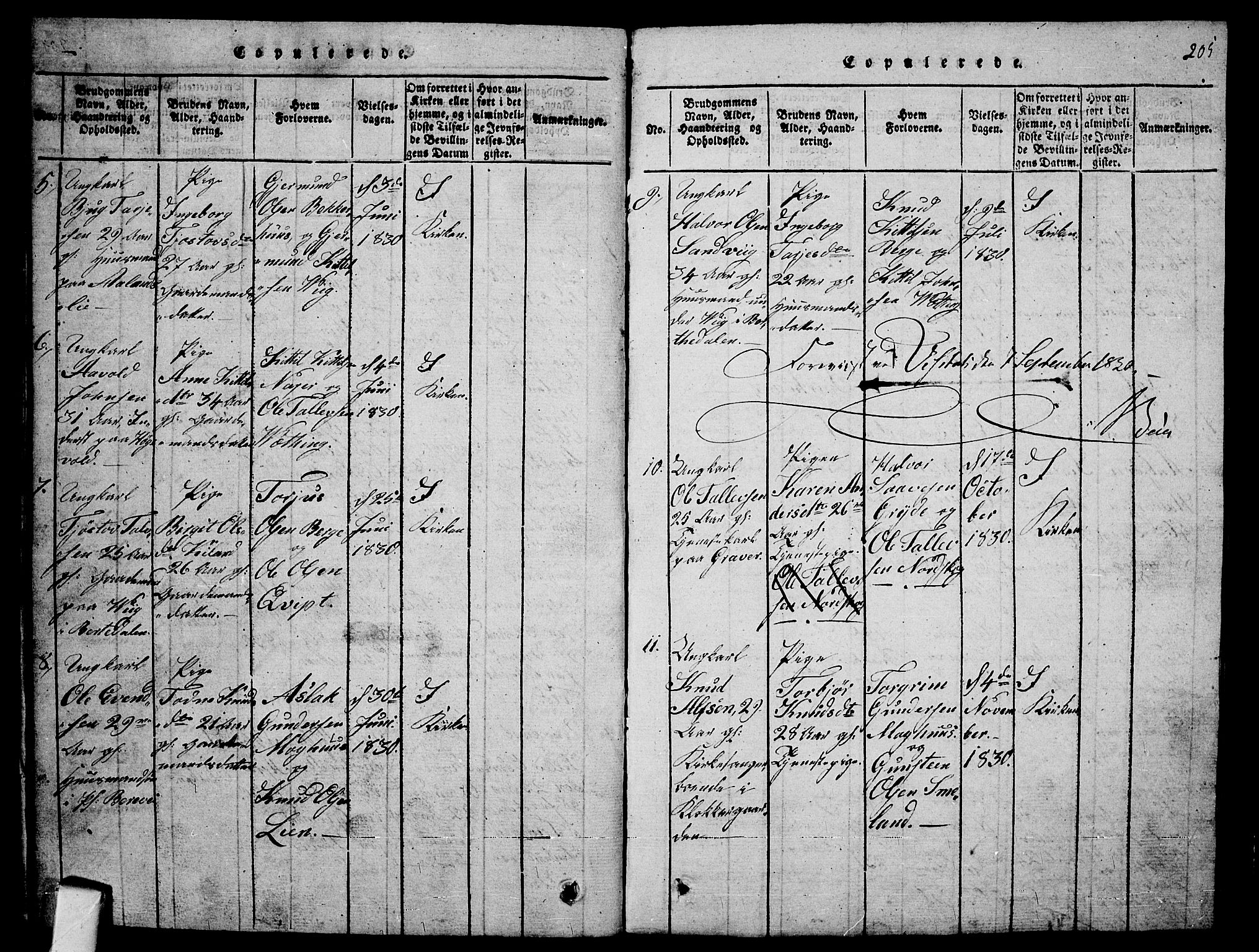 Fyresdal kirkebøker, SAKO/A-263/G/Ga/L0001: Parish register (copy) no. I 1, 1816-1840, p. 205