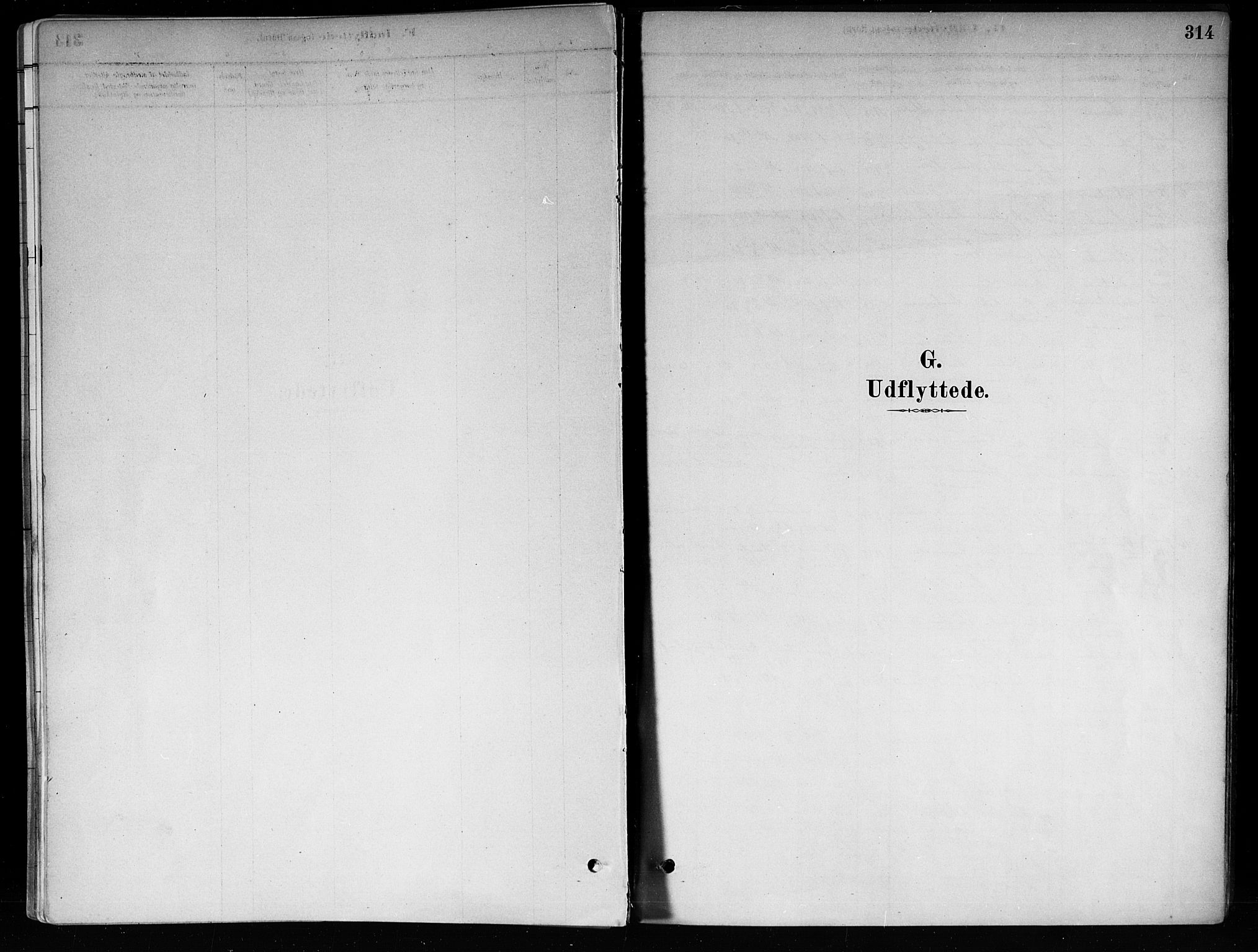 Røyken kirkebøker, SAKO/A-241/F/Fa/L0008: Parish register (official) no. 8, 1880-1897, p. 314