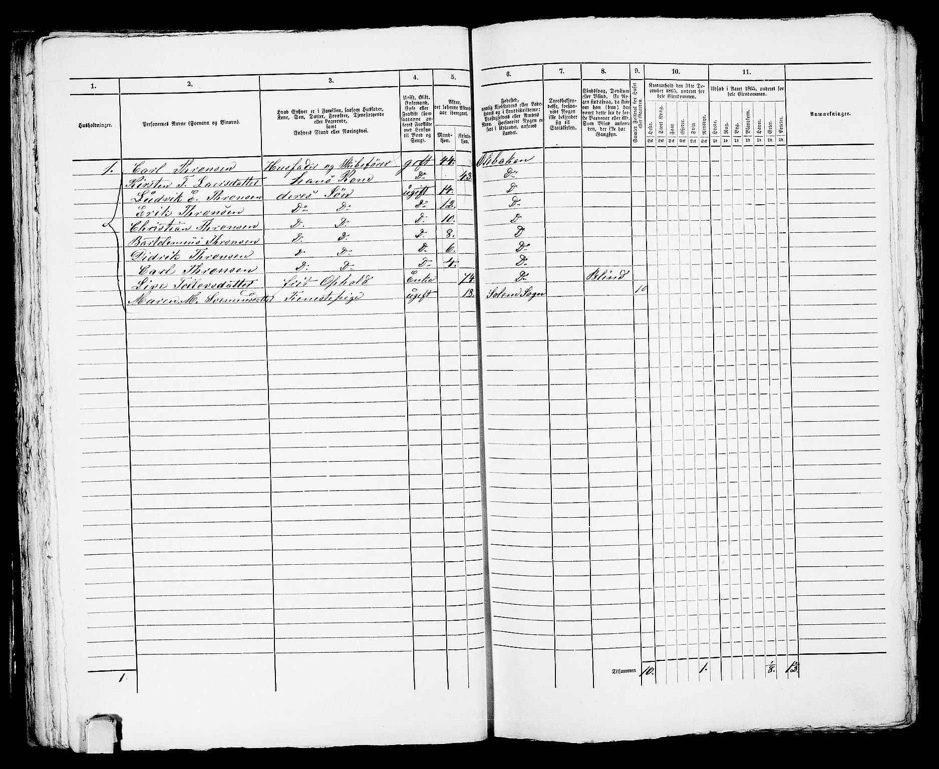 RA, 1865 census for Porsgrunn, 1865, p. 481
